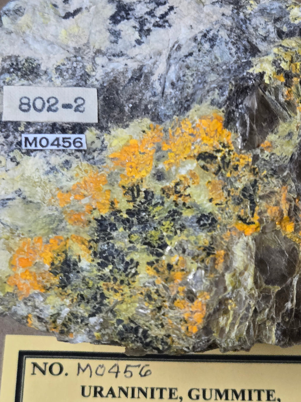 Autunite gummite uraninite specimen
