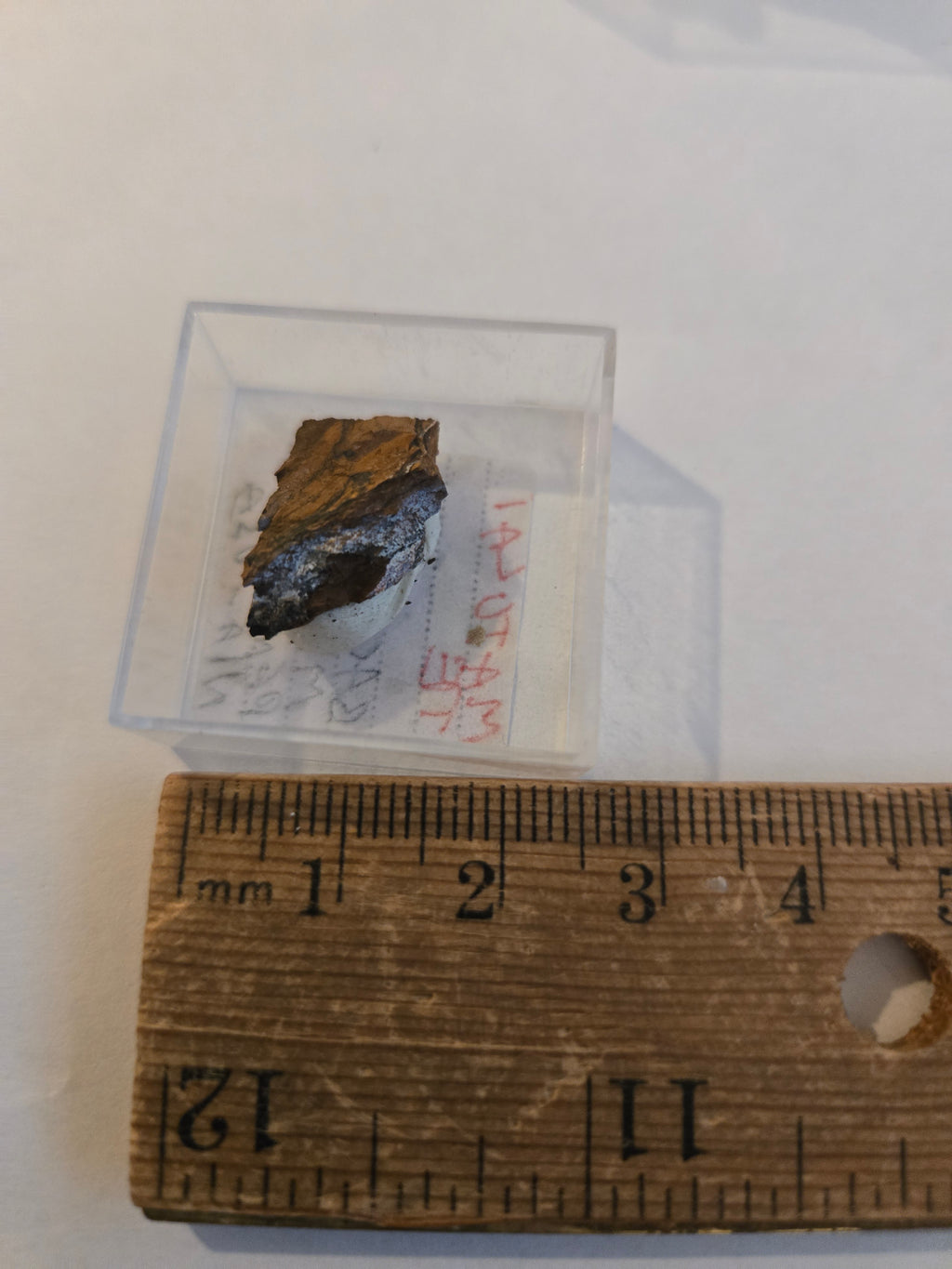 Matulaite