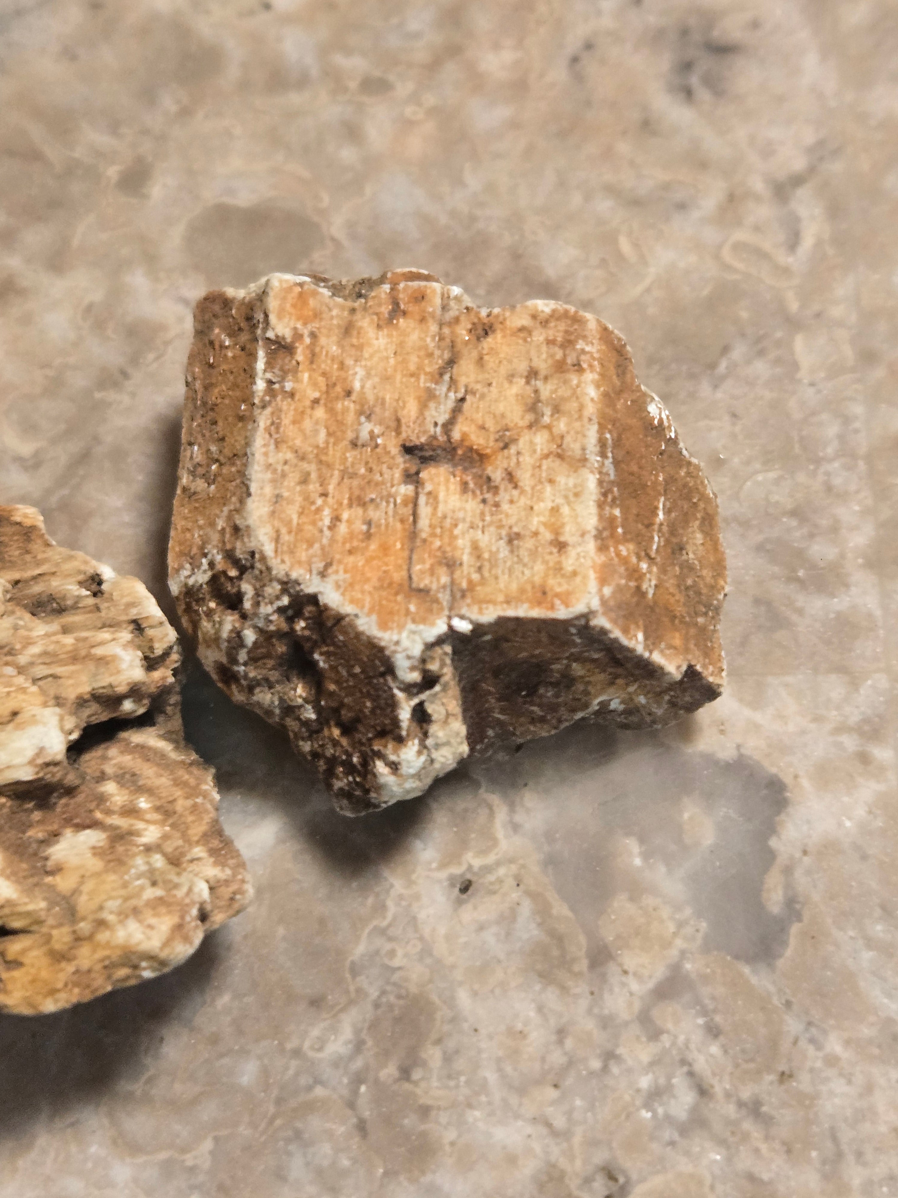 Tremolite after diopside