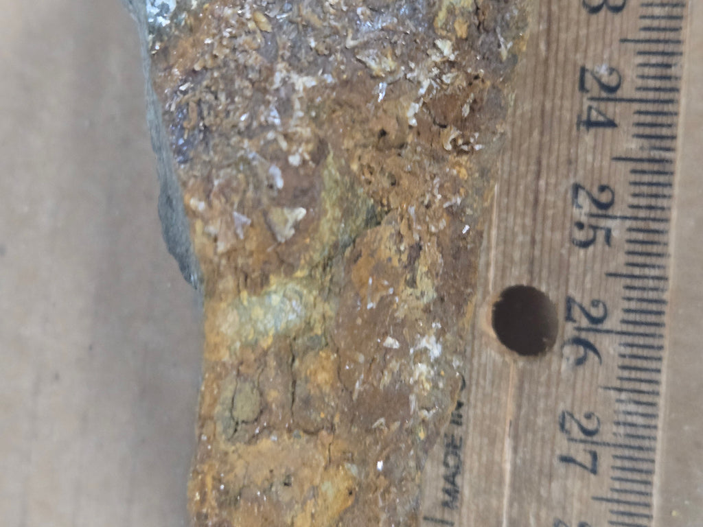 Ammoniojarosite