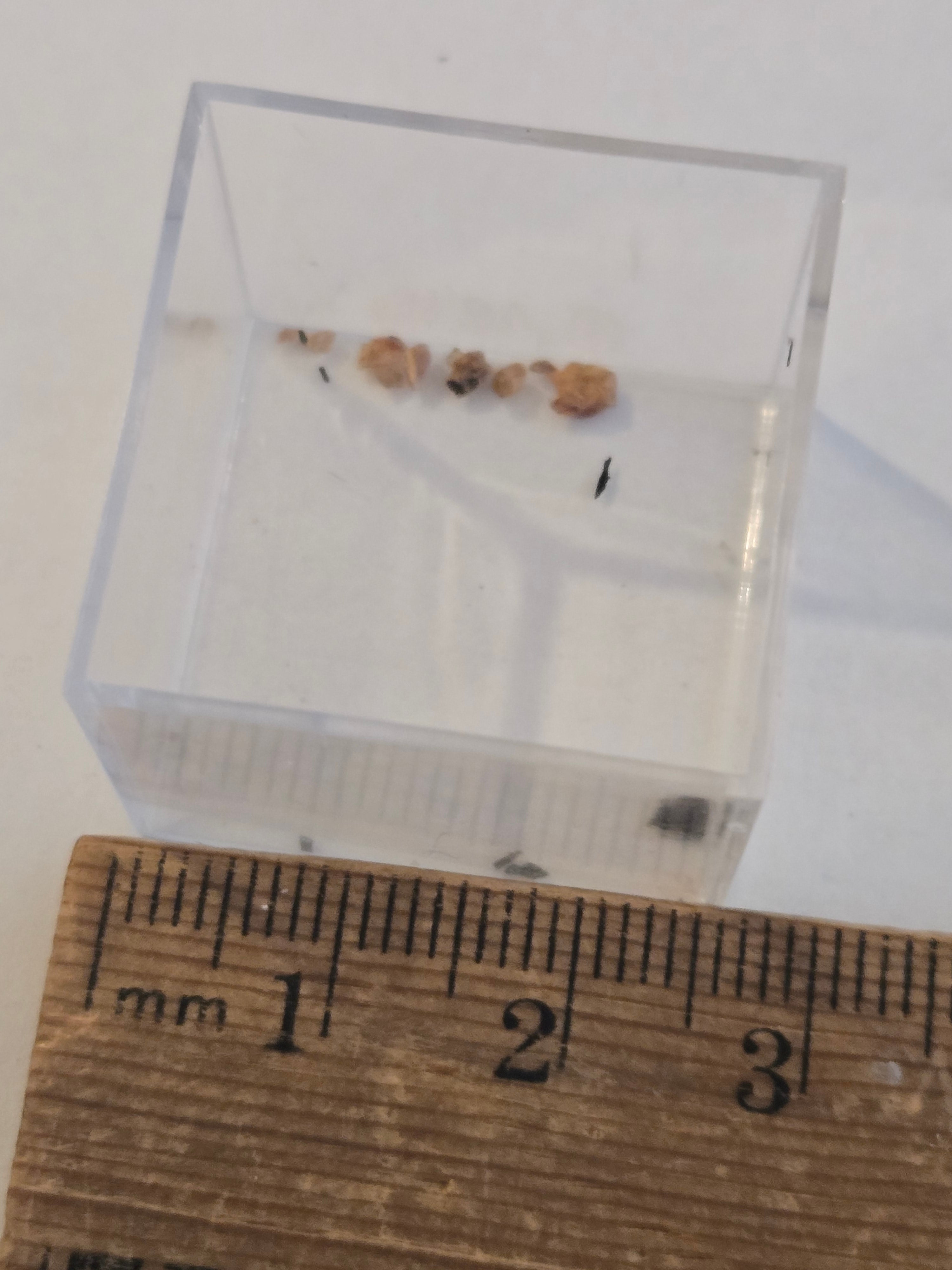 Gagarinite Y