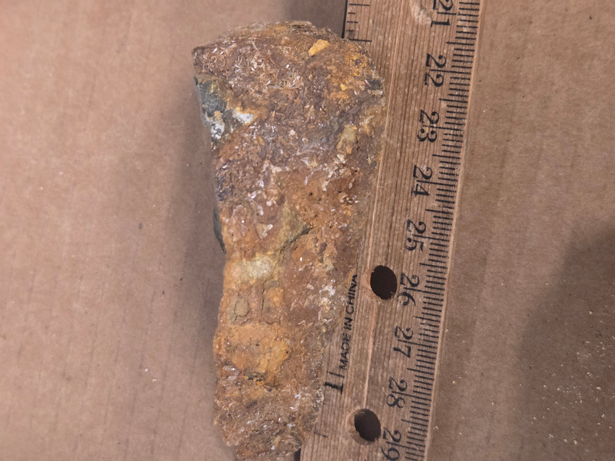 Ammoniojarosite