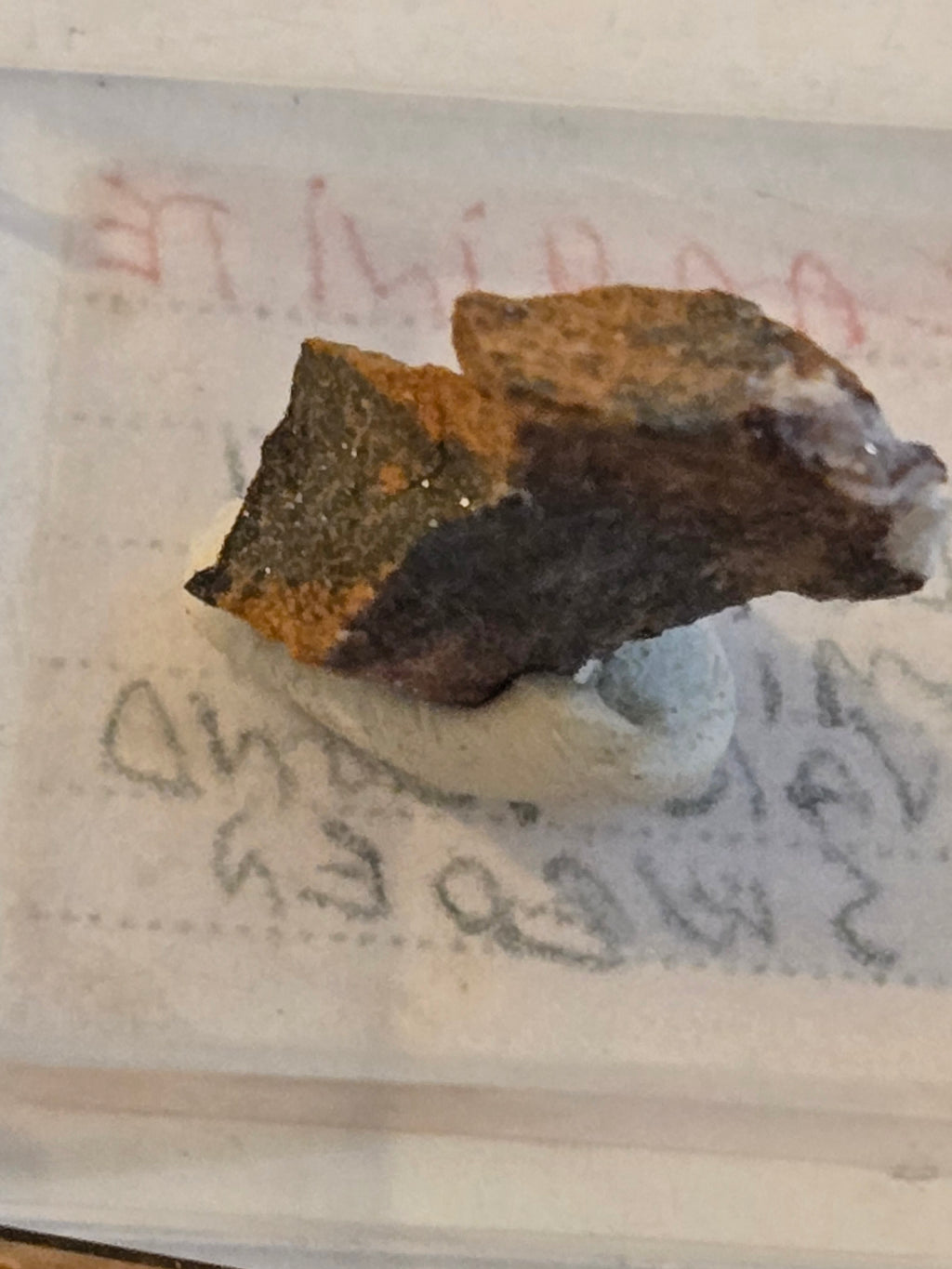 Caryinite