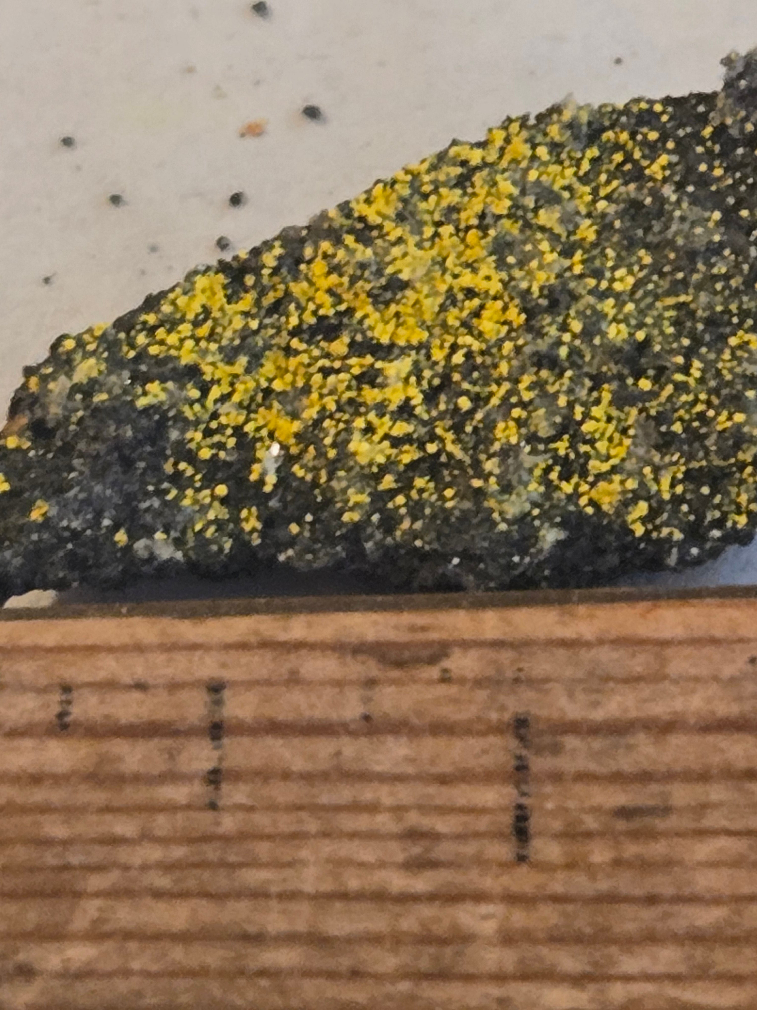 Zippeite on coffinite
