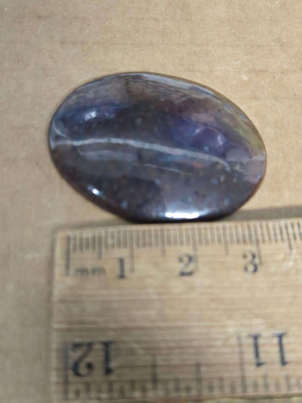 Dinosaur Bone Cabochon