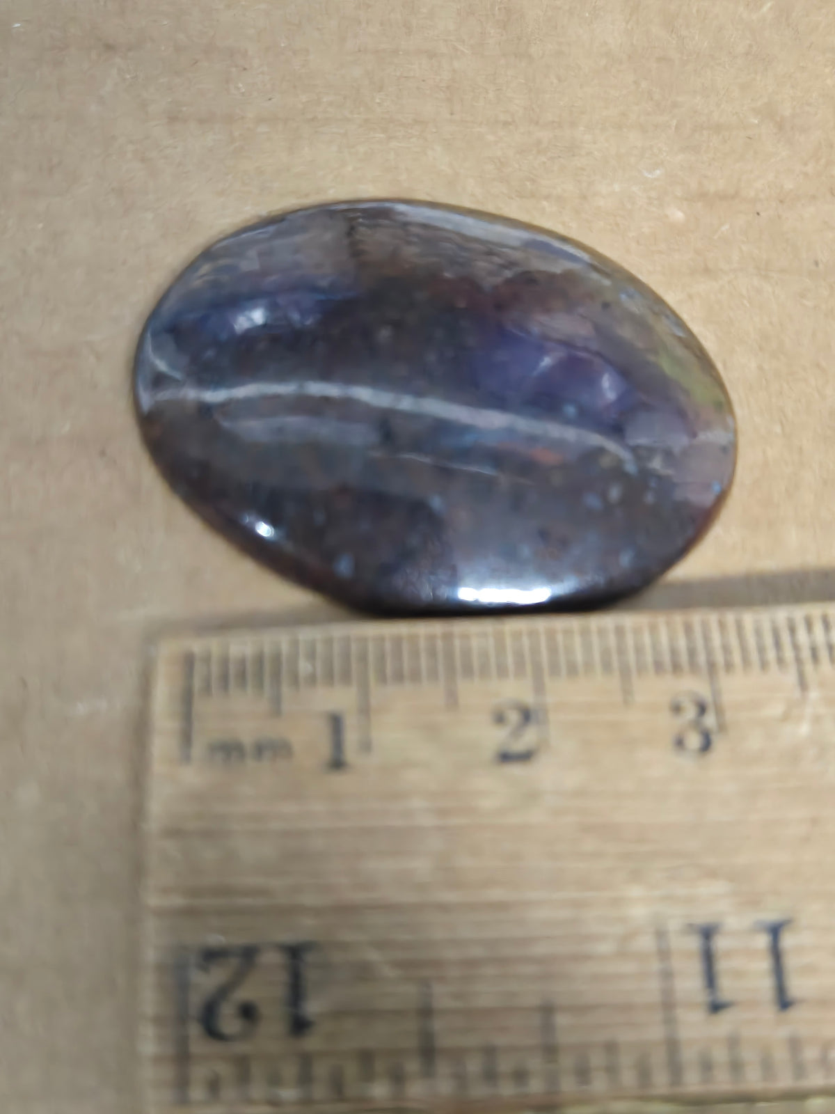 Dinosaur Bone Cabochon