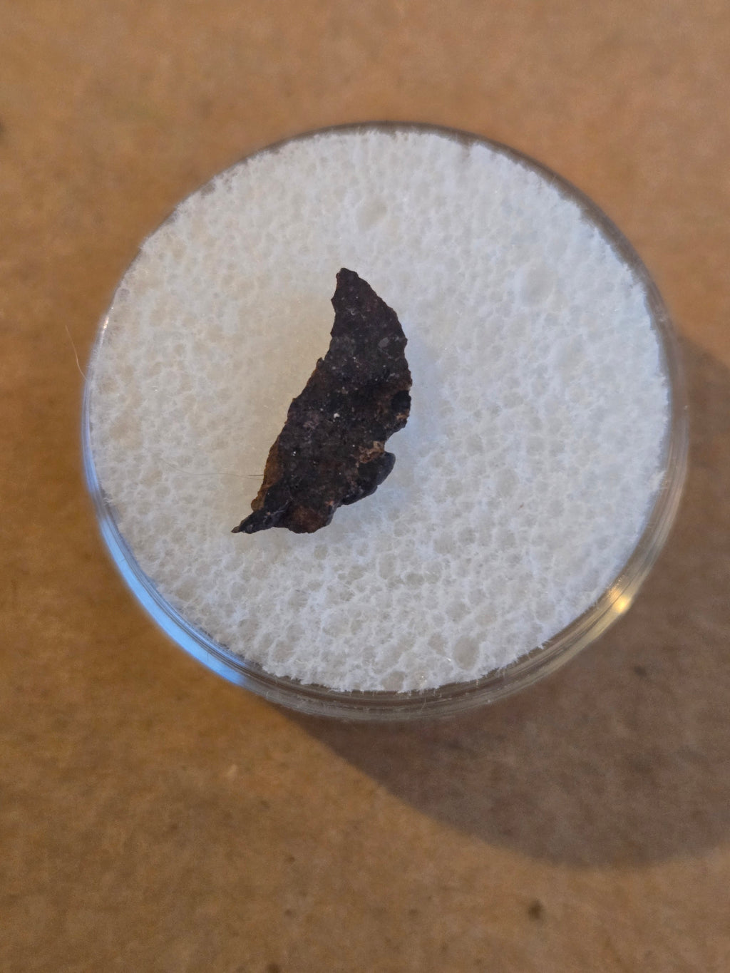 Dar al Gani 1038 meteorite specimen