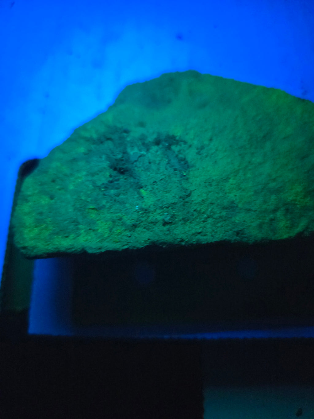 Metatyuyamunite with uraninite