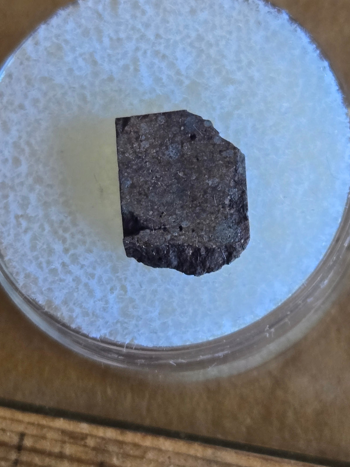 NWA 7487 Meteorite