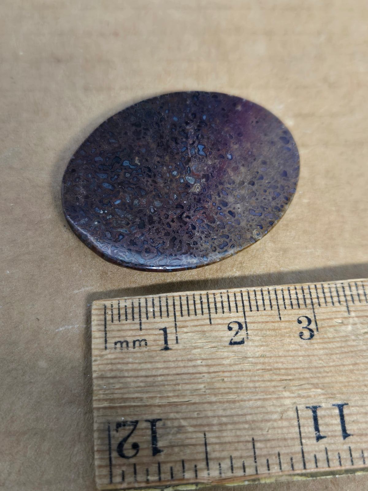 Dinosaur Bone Cabochon