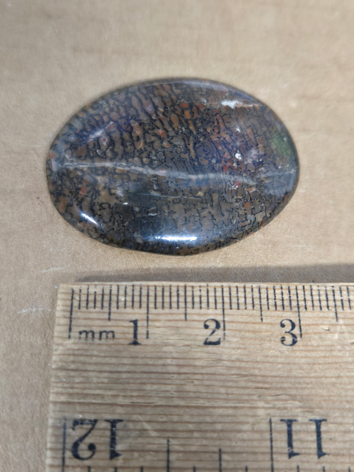Dinosaur Bone Cabochon