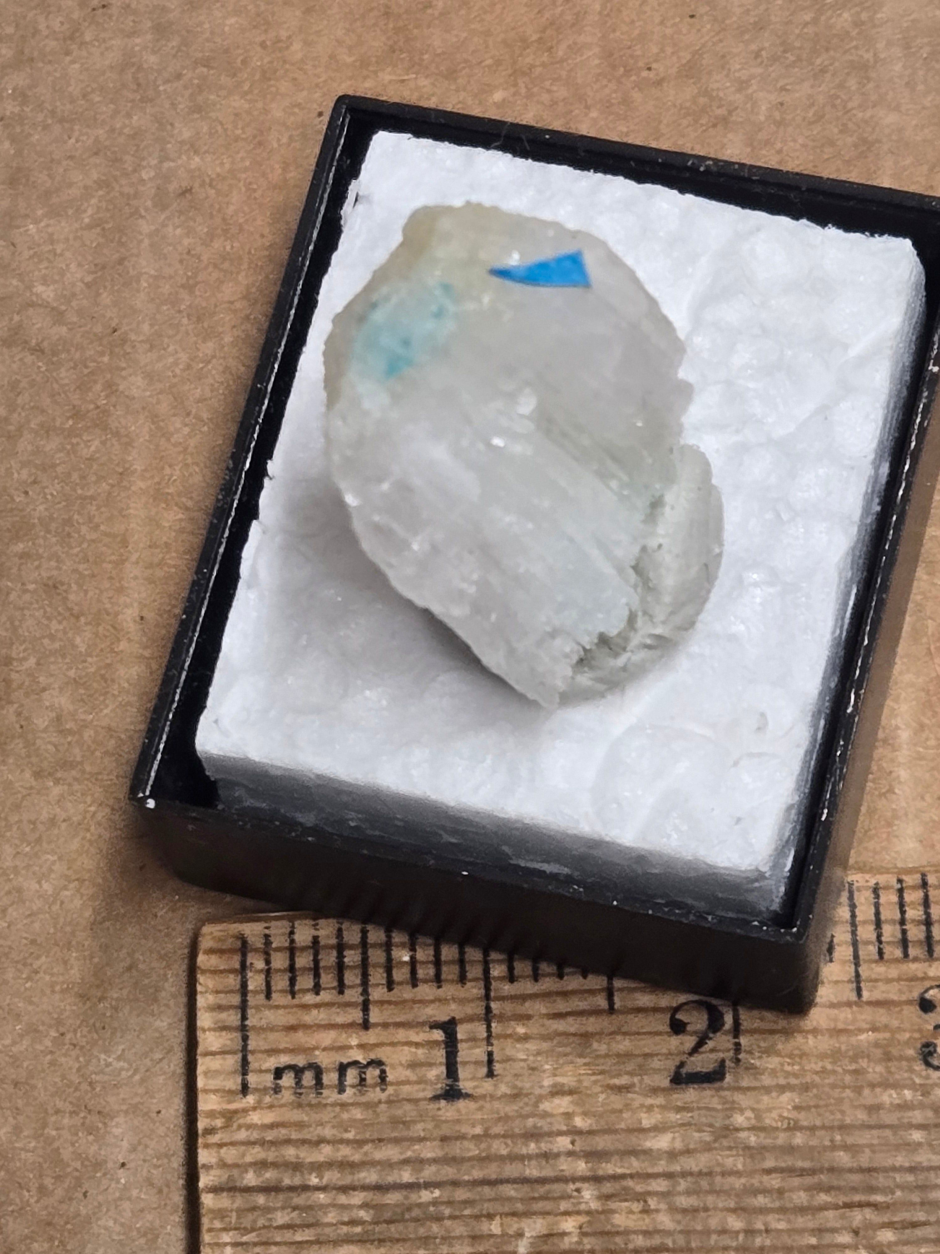 Ammineite