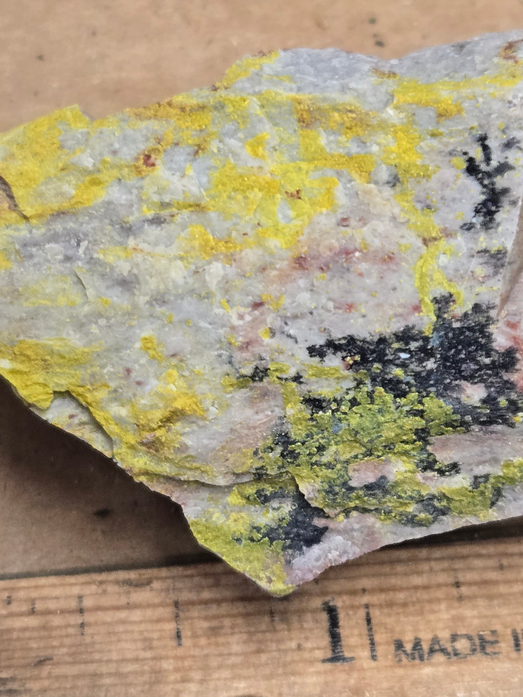 Carnotite specimen