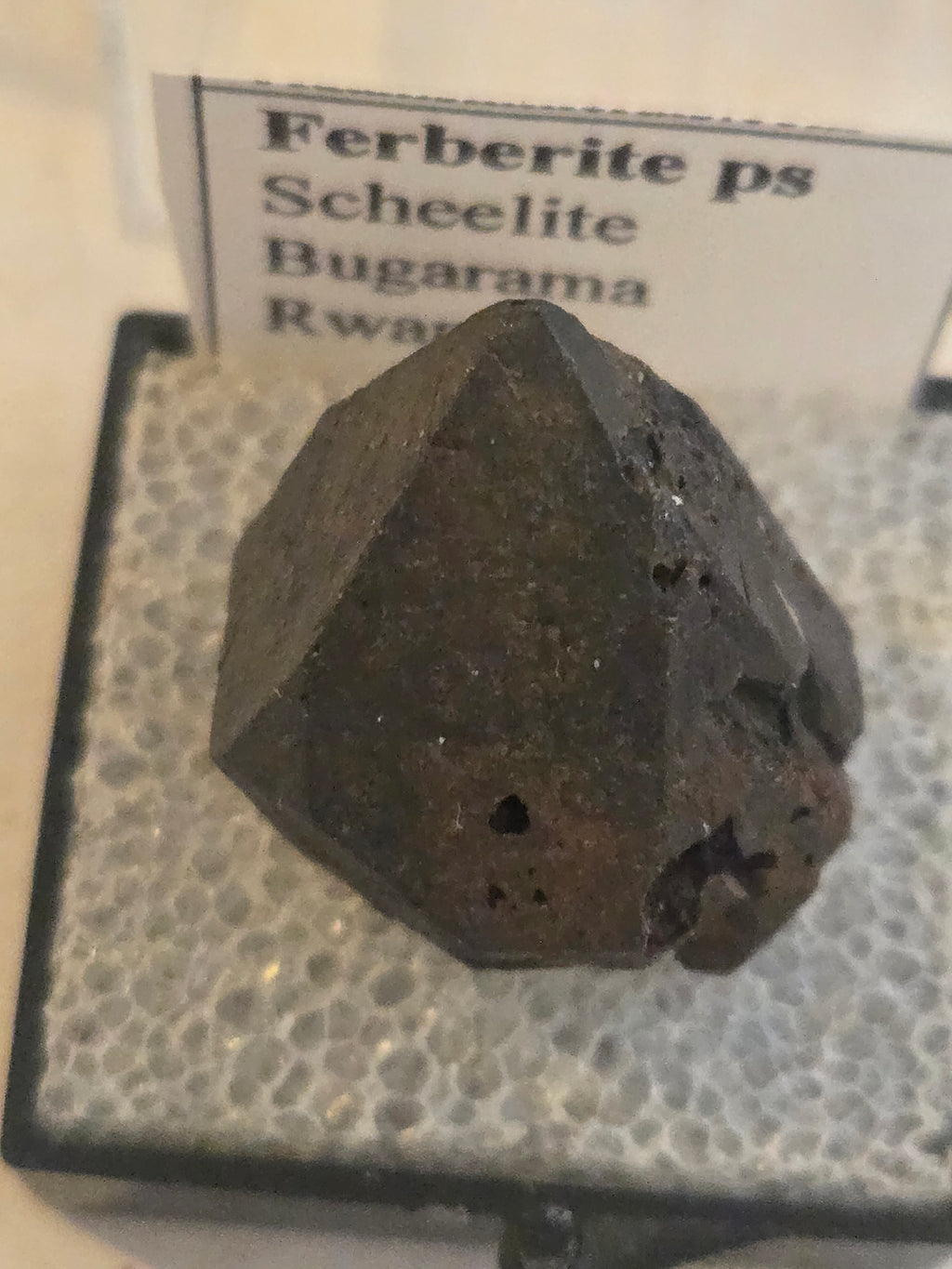 Ferberite pseudo scheelite