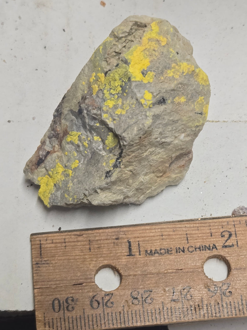Carnotite specimen