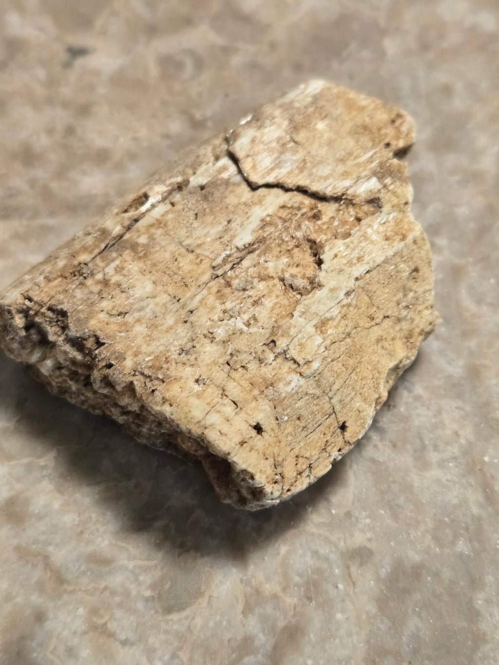 Tremolite after diopside