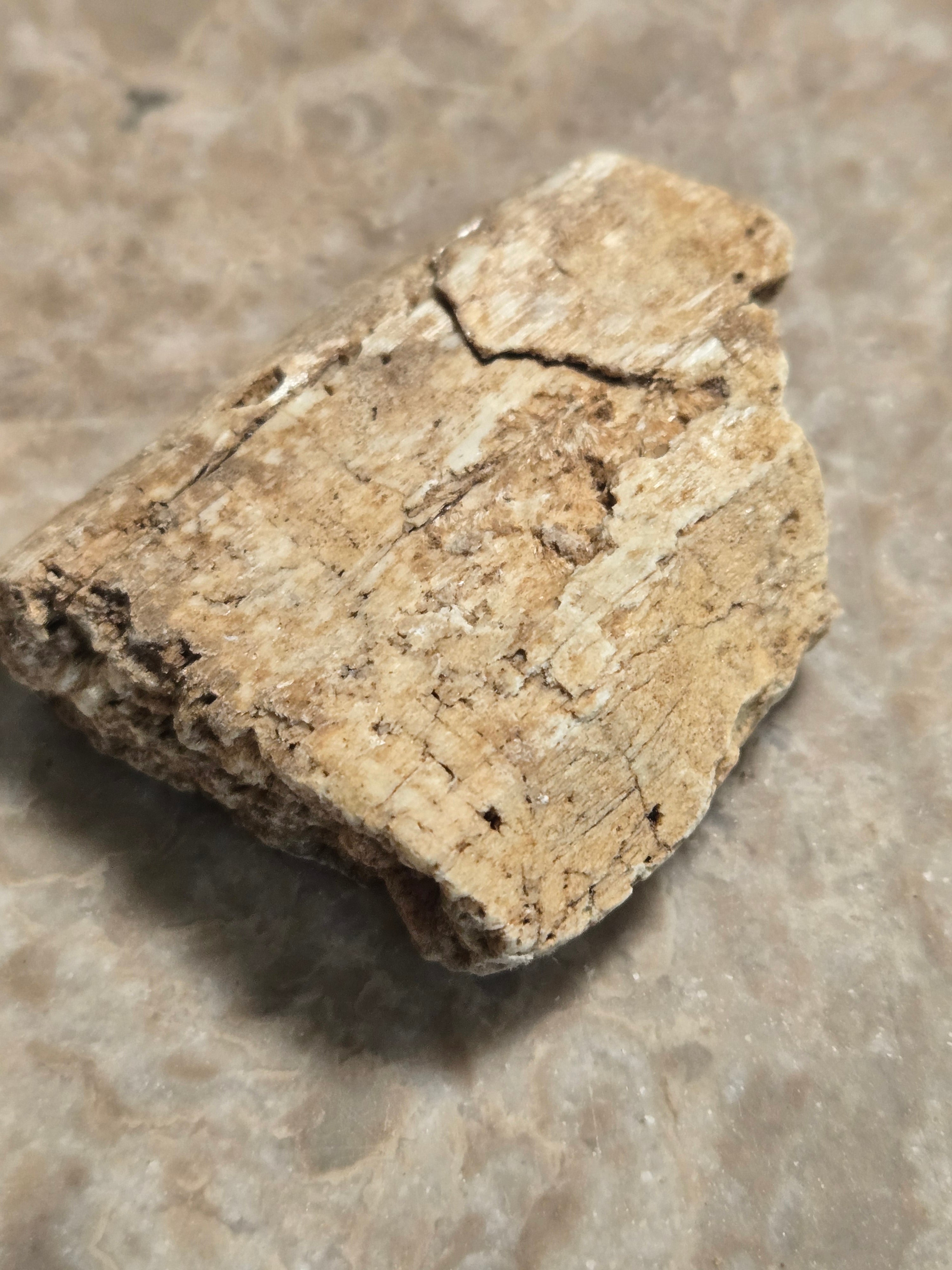 Tremolite after diopside