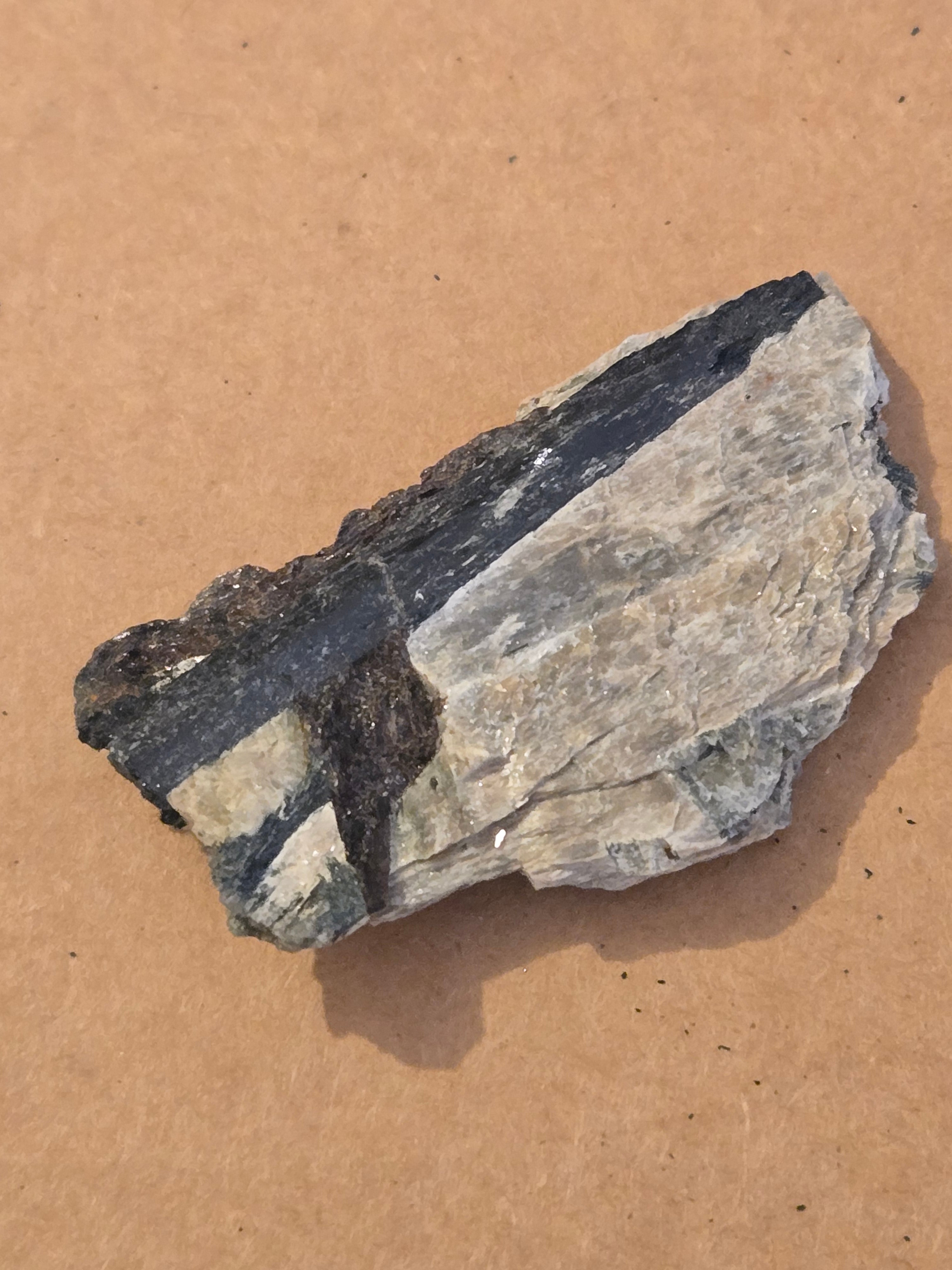Aegirine lamprophyllite with mica