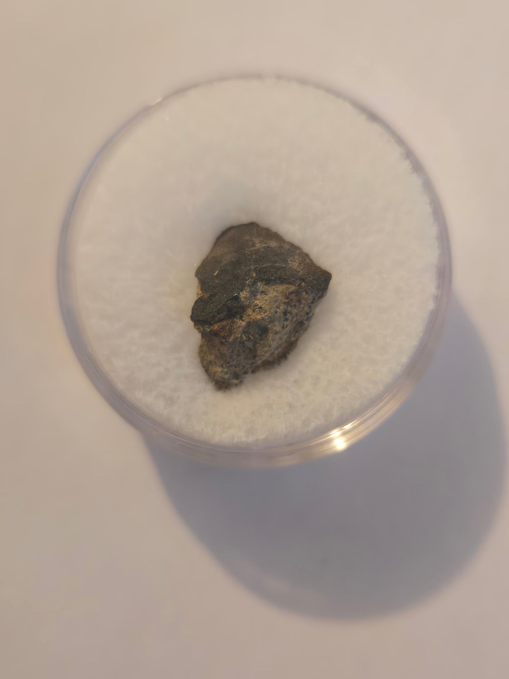 Mohave mountains meteorite specimen