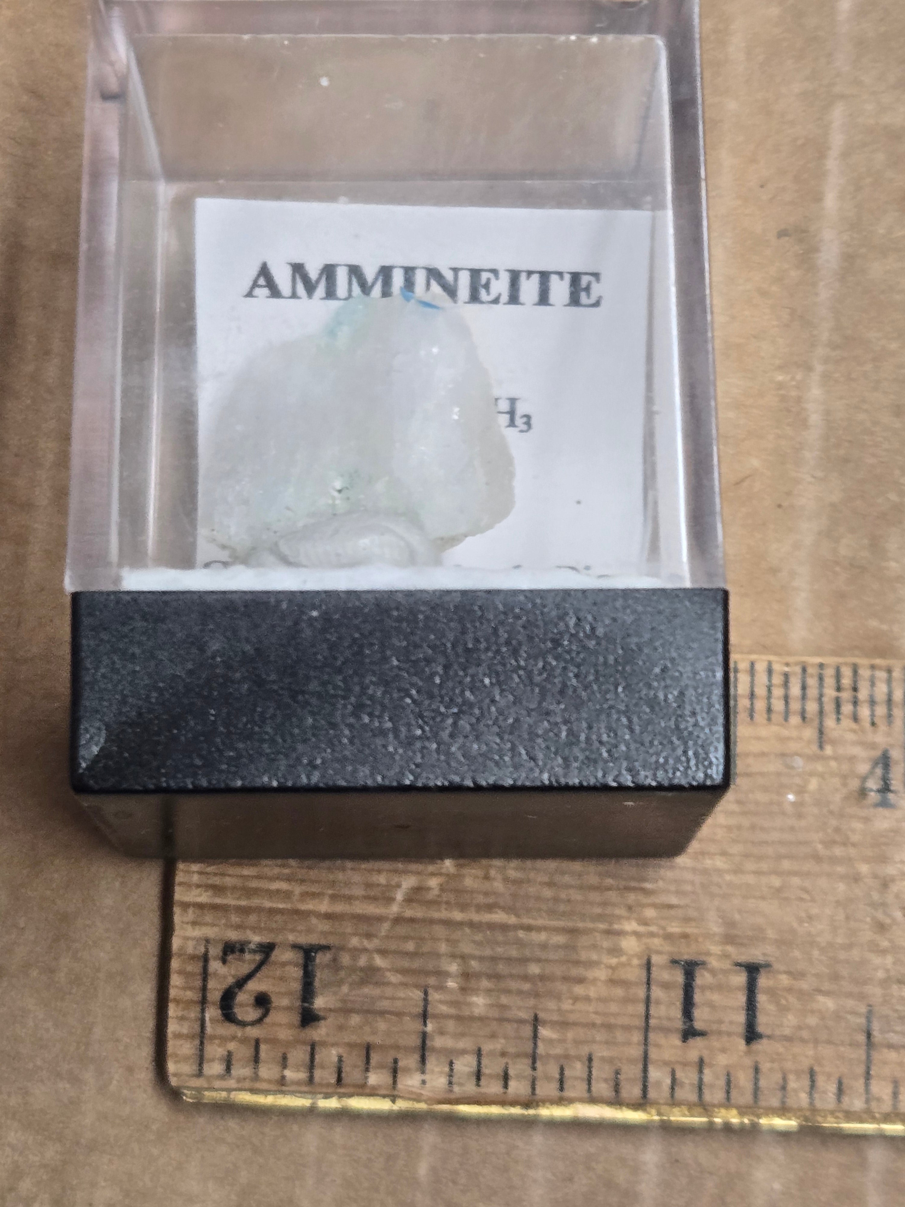 Ammineite