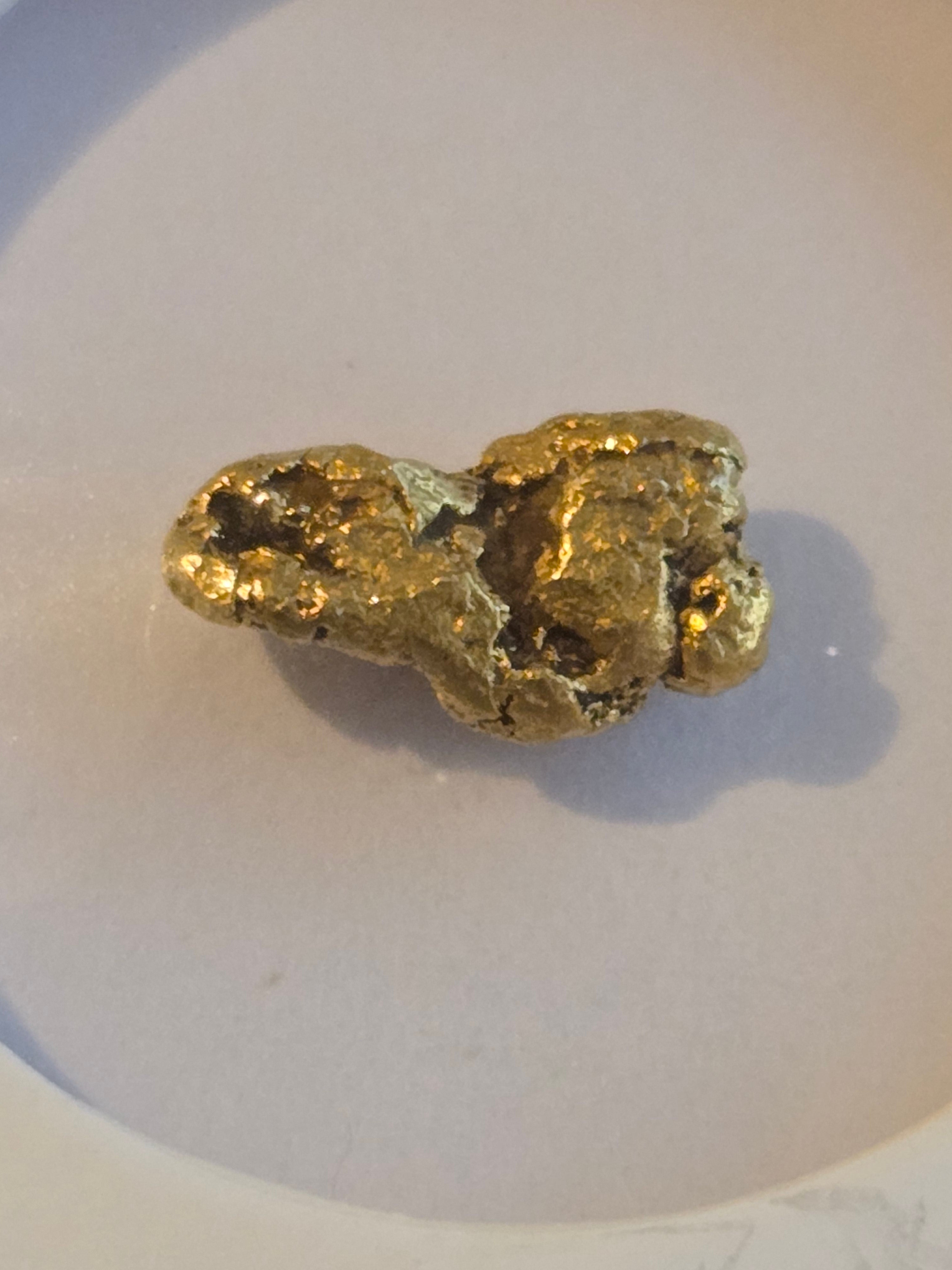 Gold nugget Alaska