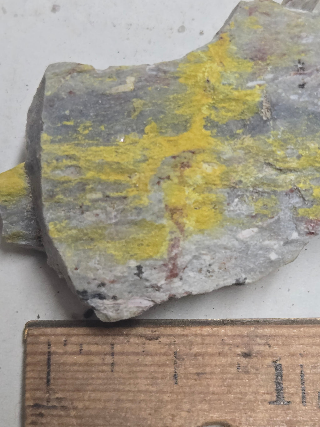 Carnotite specimen