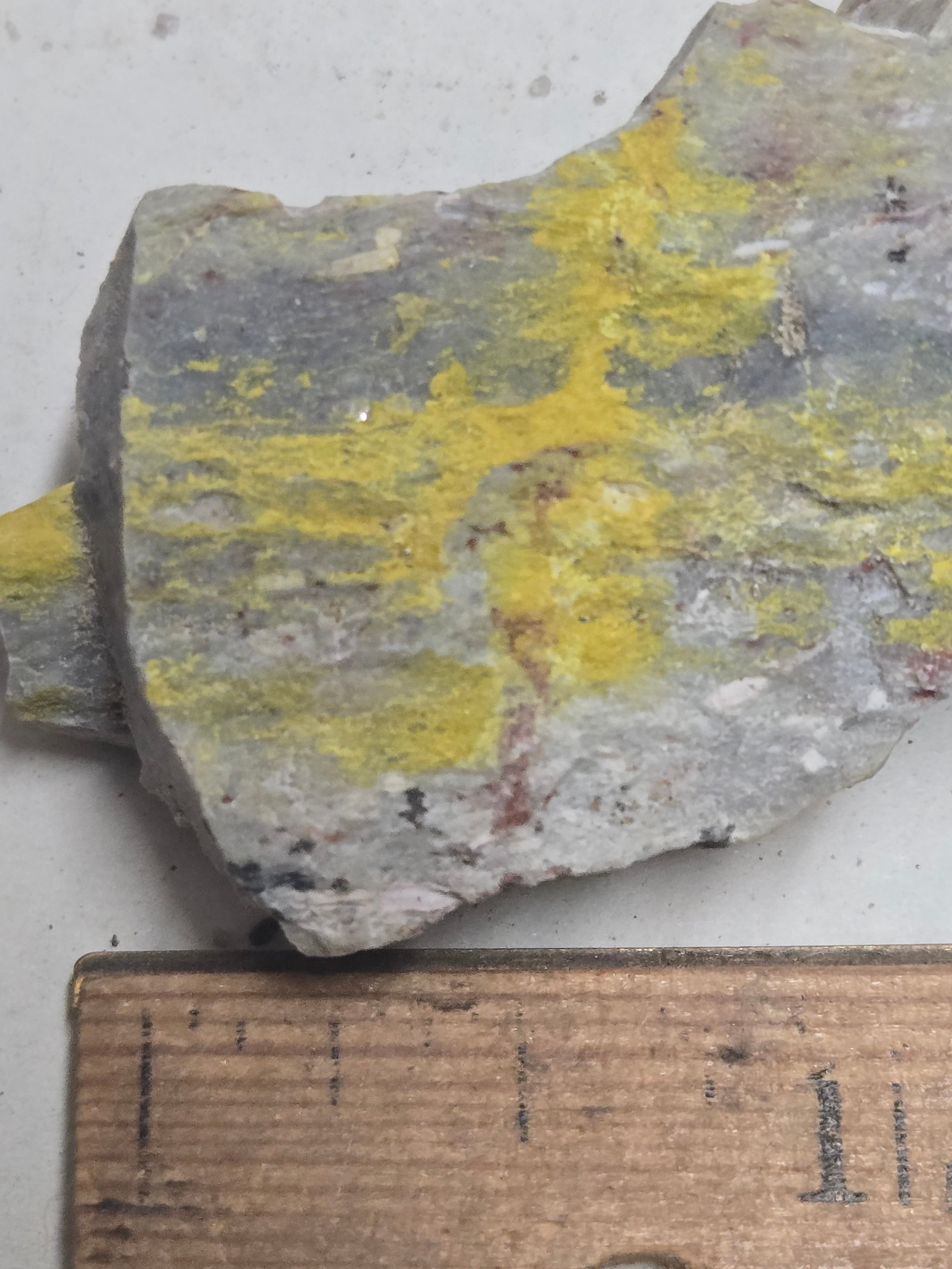 Carnotite specimen