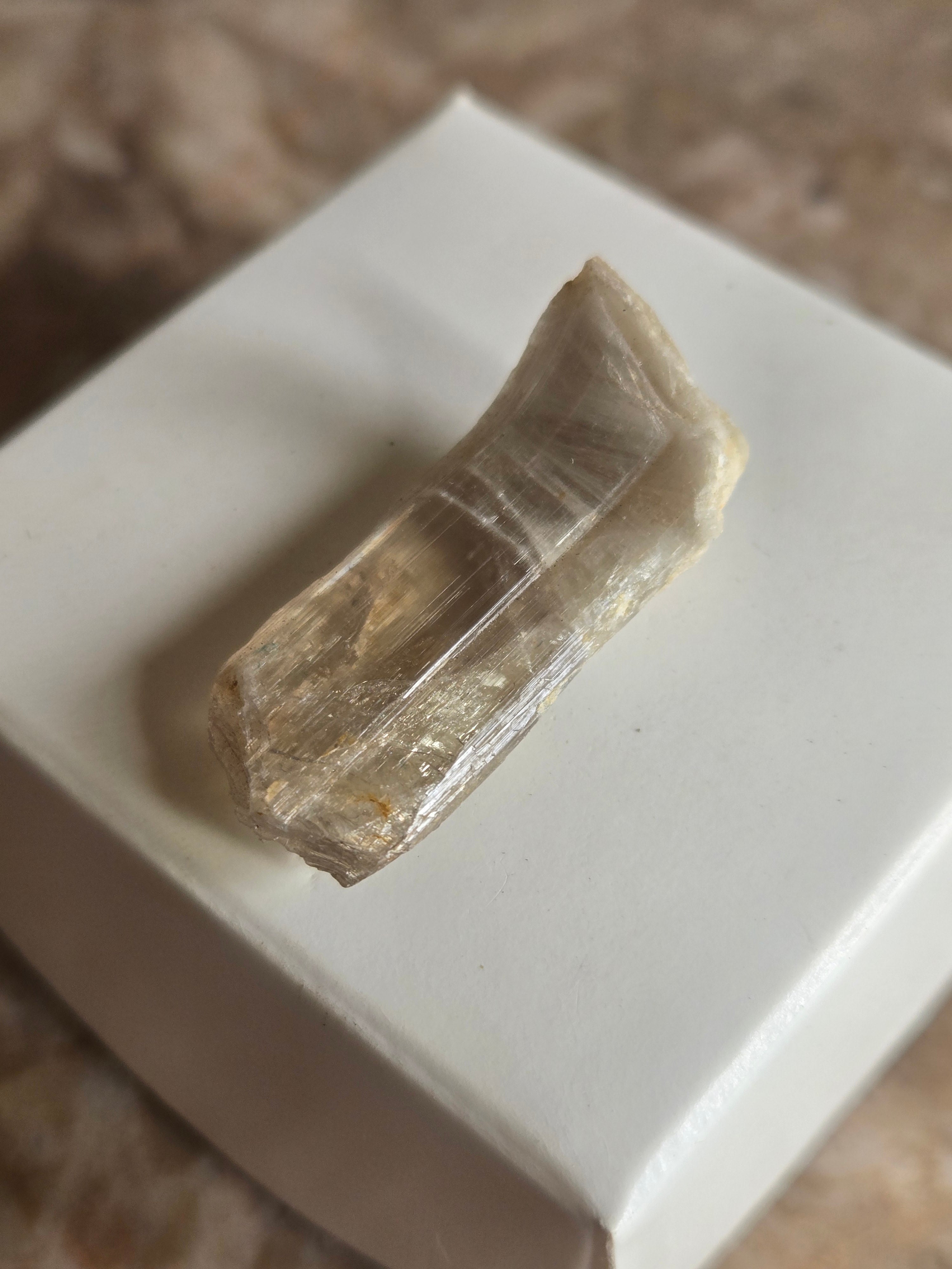 Diaspore Specimen