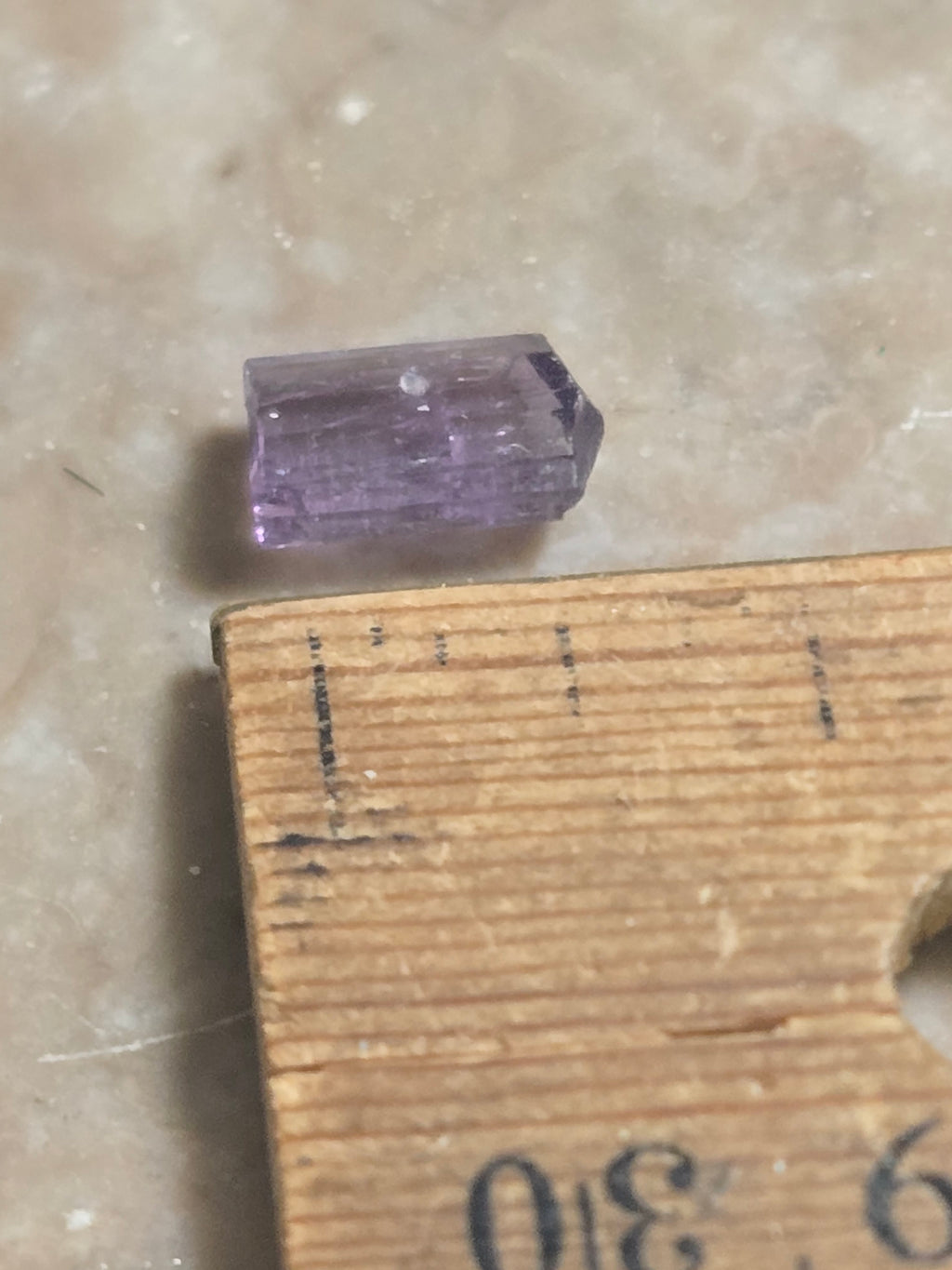 Scapolite