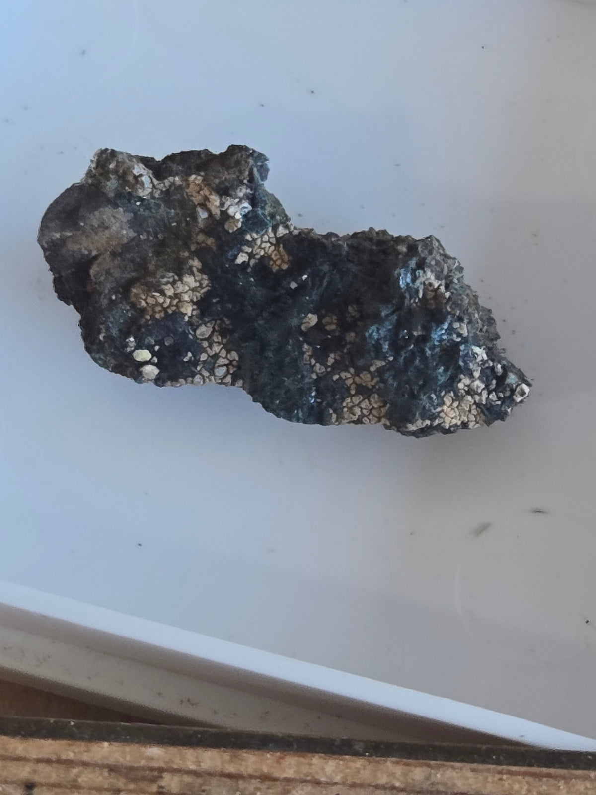 Gormanite