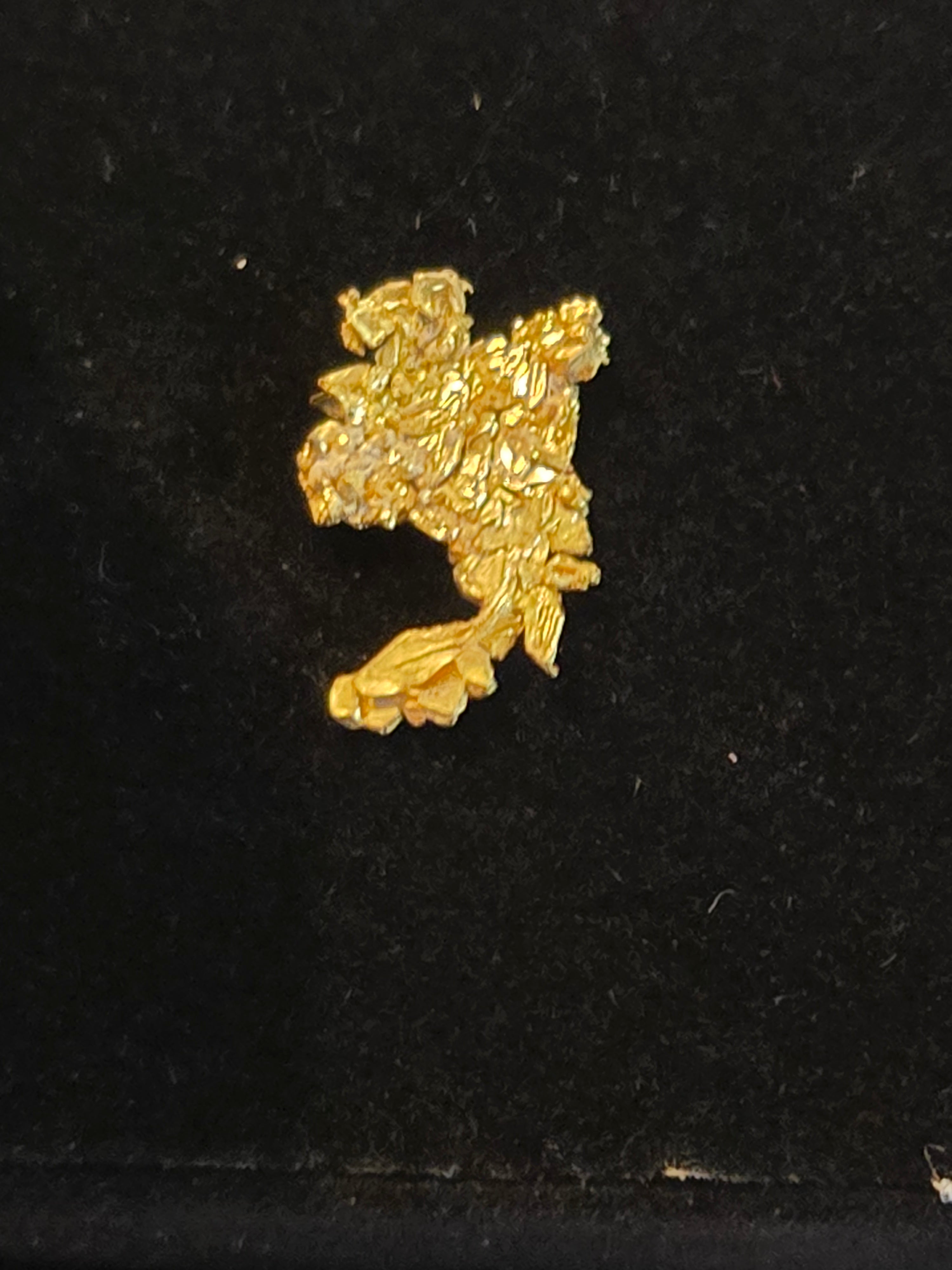 Gold specimen from Eagle's Nest