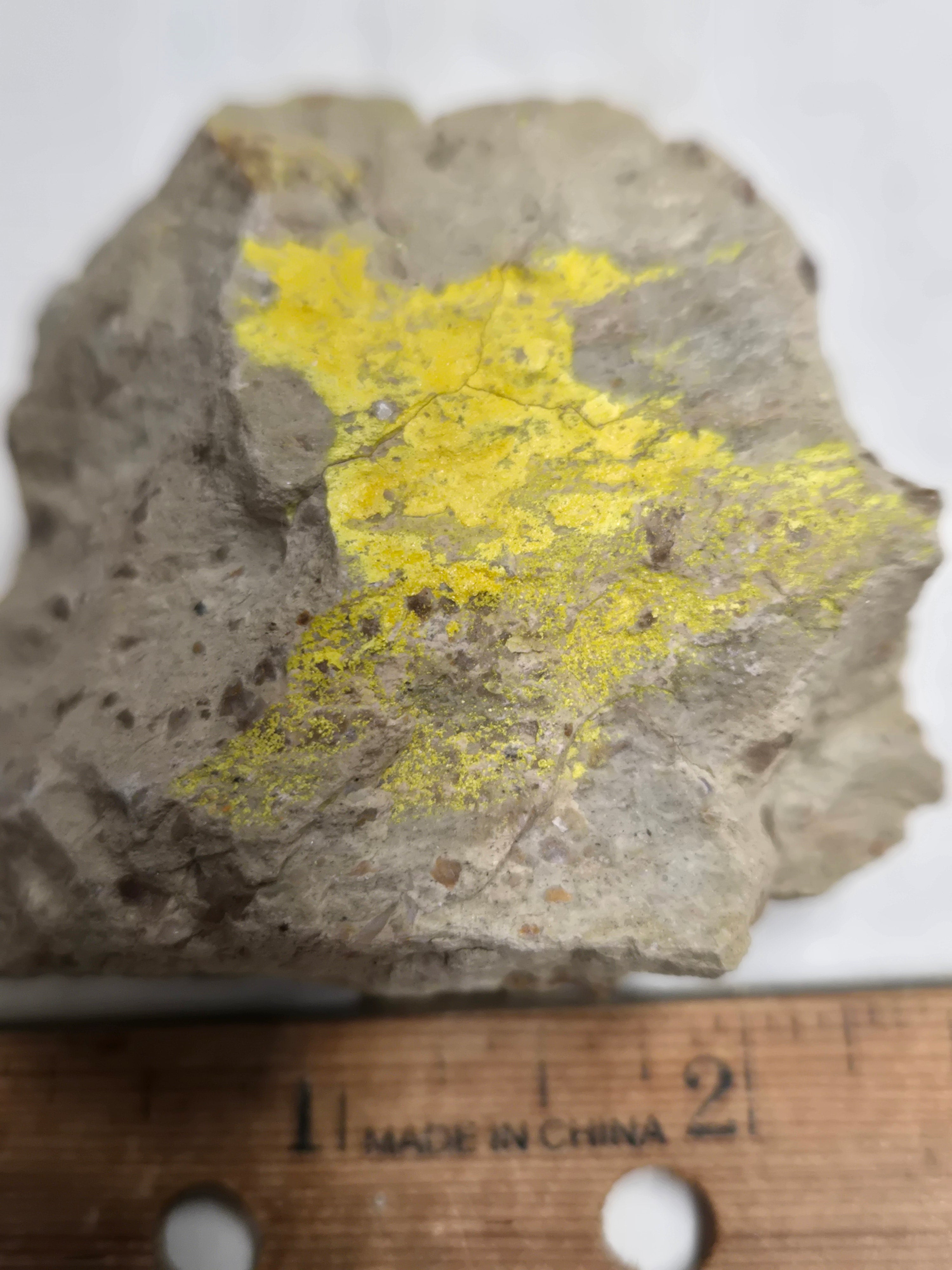 Carnotite specimen