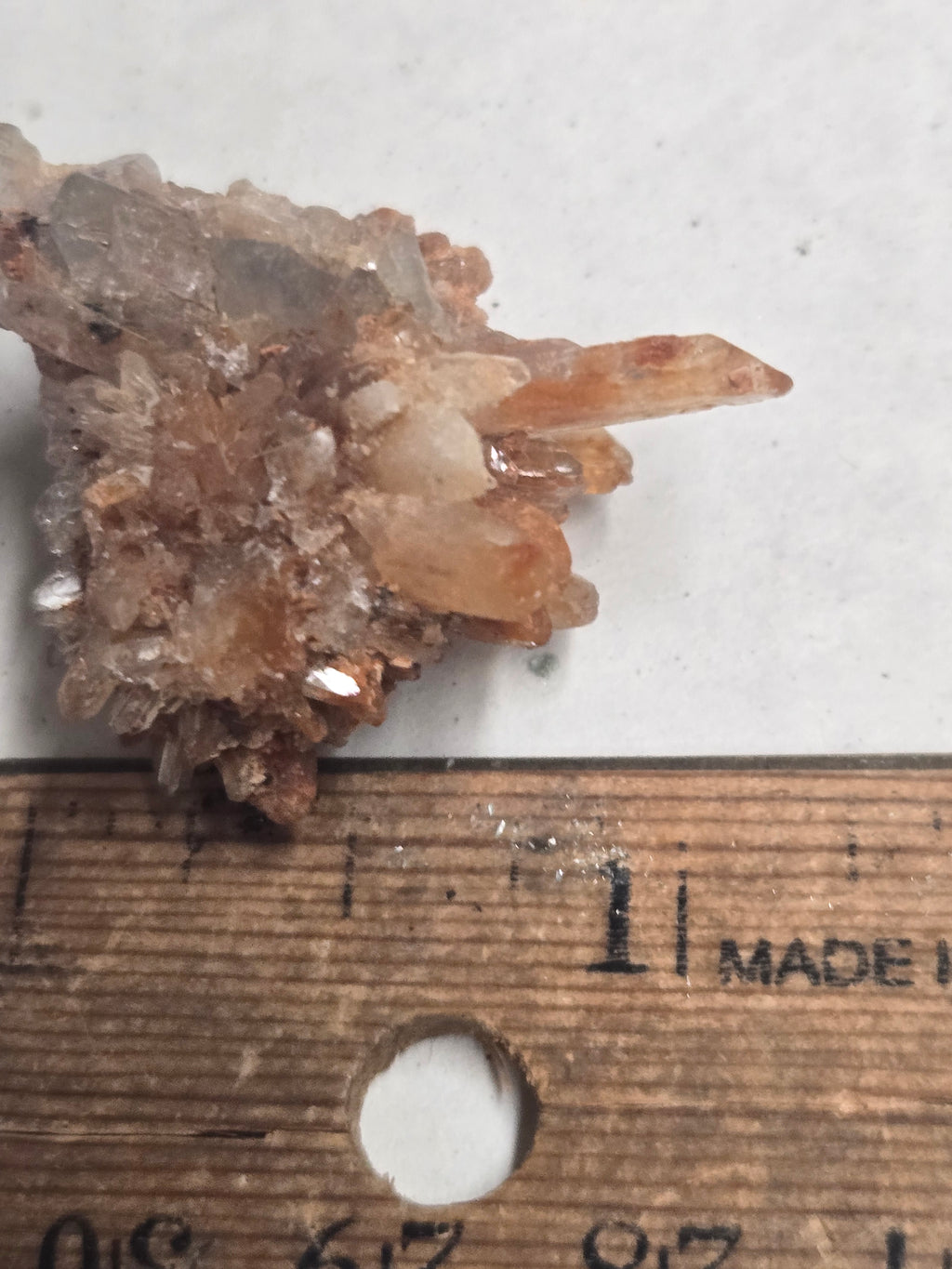 Creedite