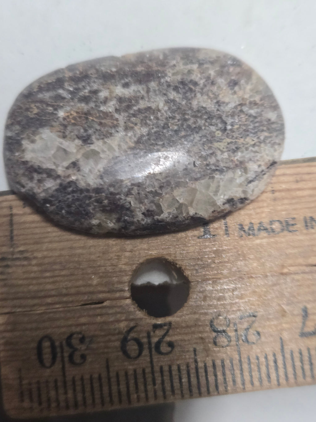 Dinosaur Bone Cabochon