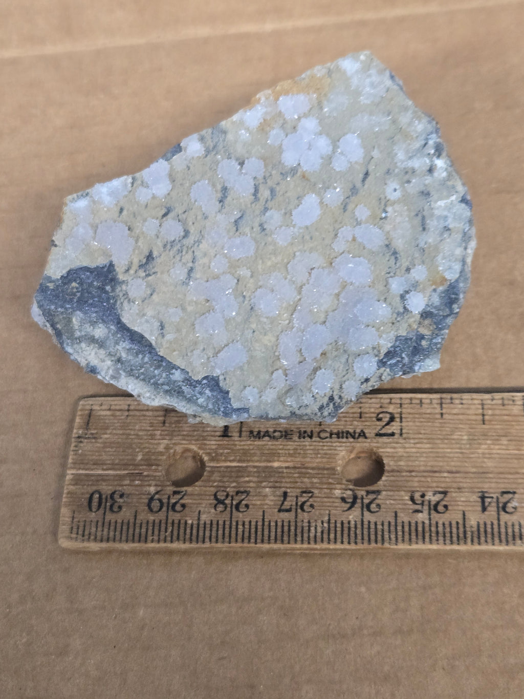 Creedite