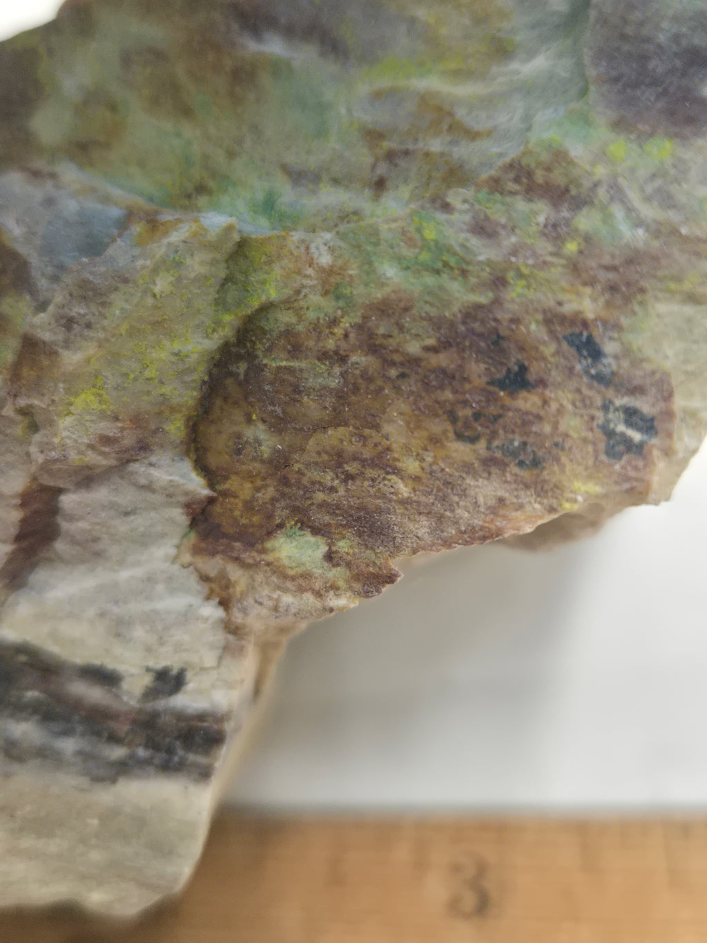 Carnotite autunite specimen