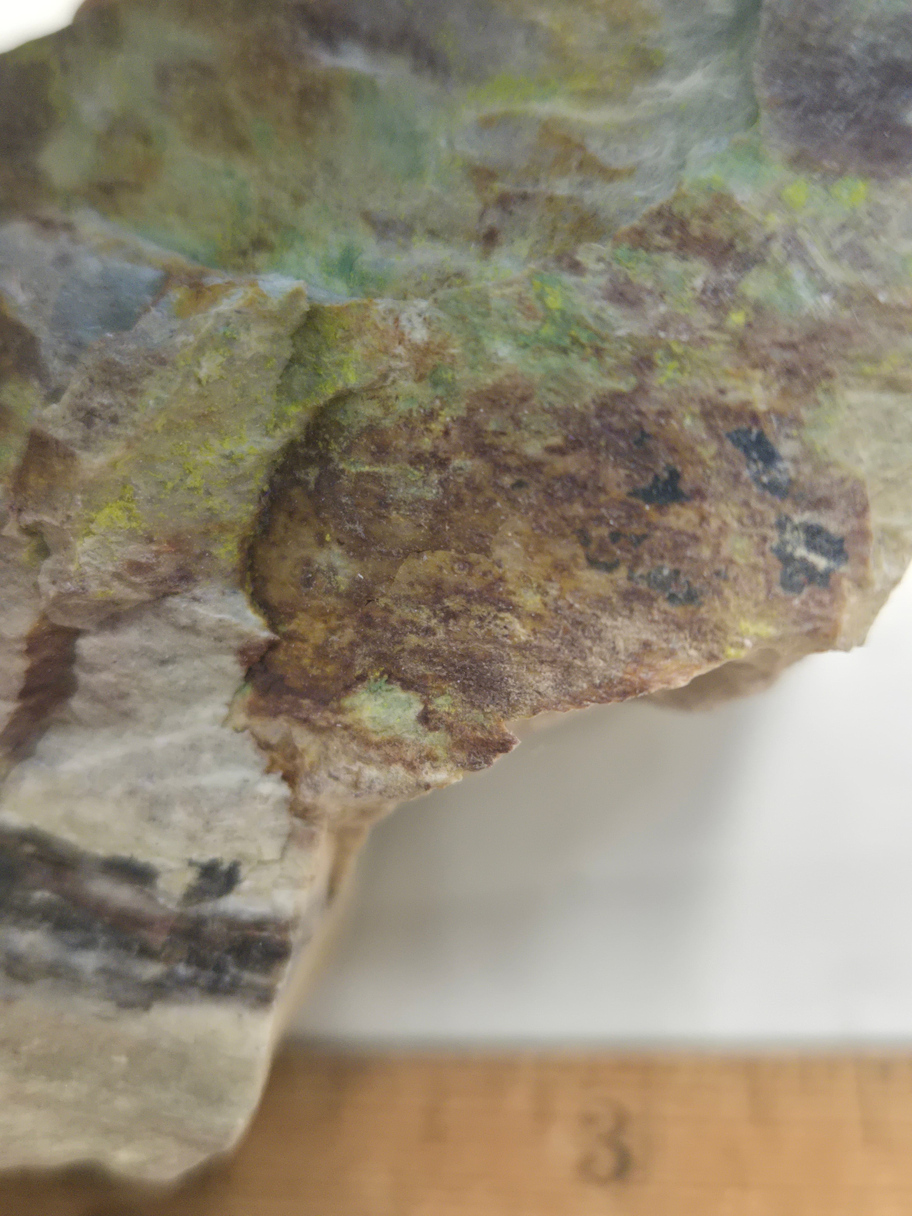 Carnotite autunite specimen