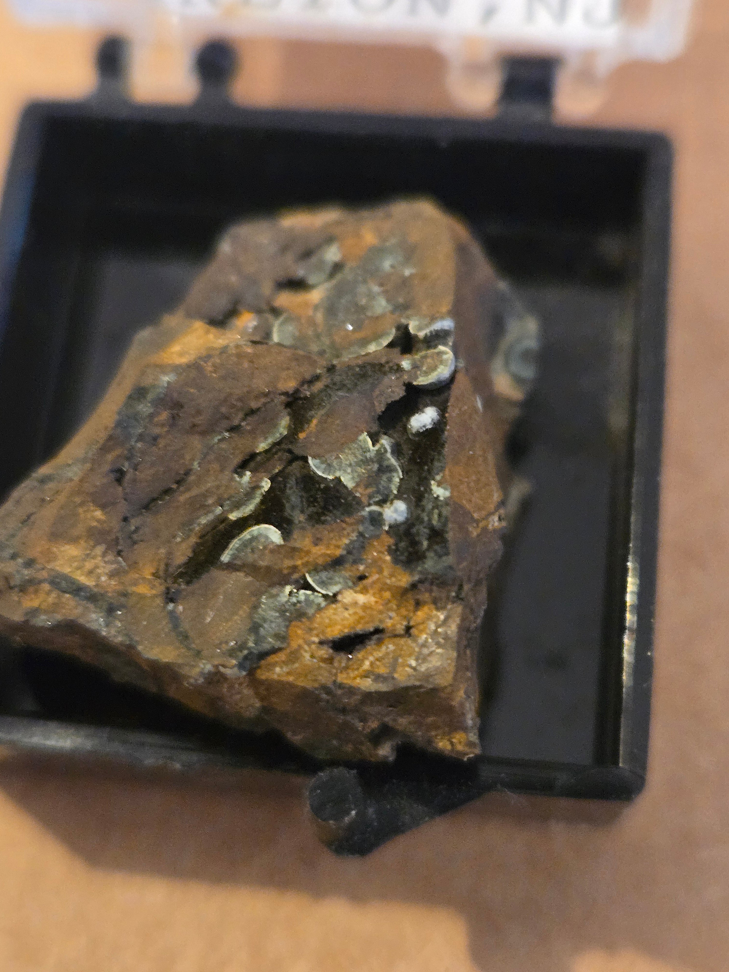 Vivianite with ferristrunzite