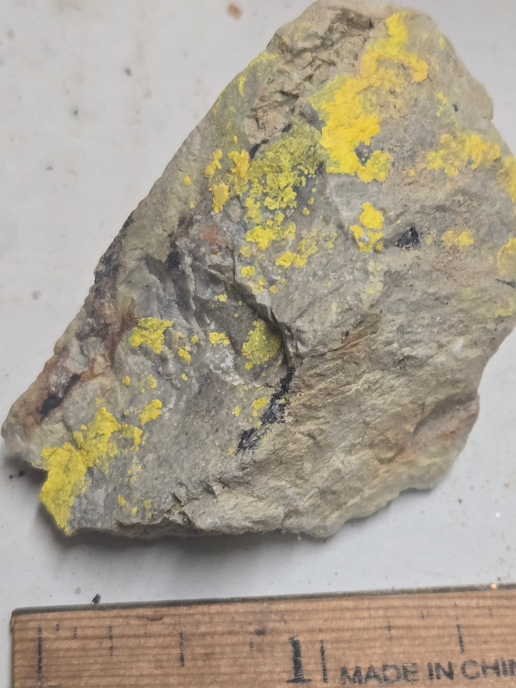 Carnotite specimen