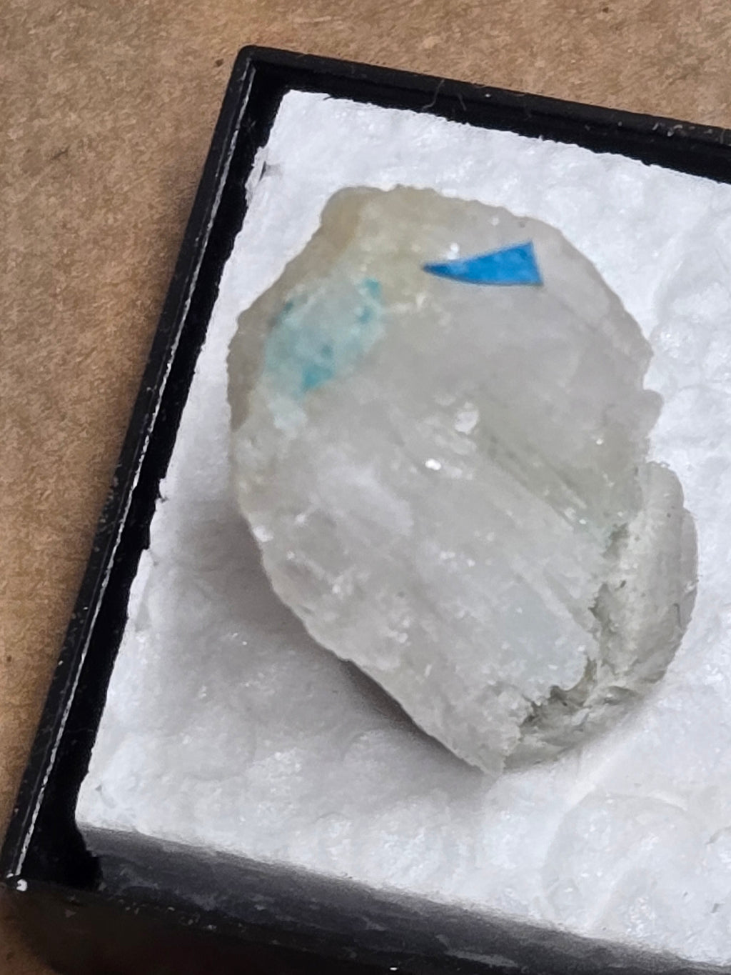 Ammineite