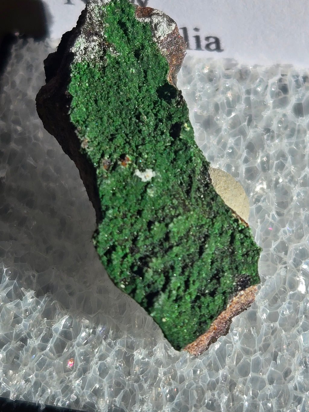 Bayldonite