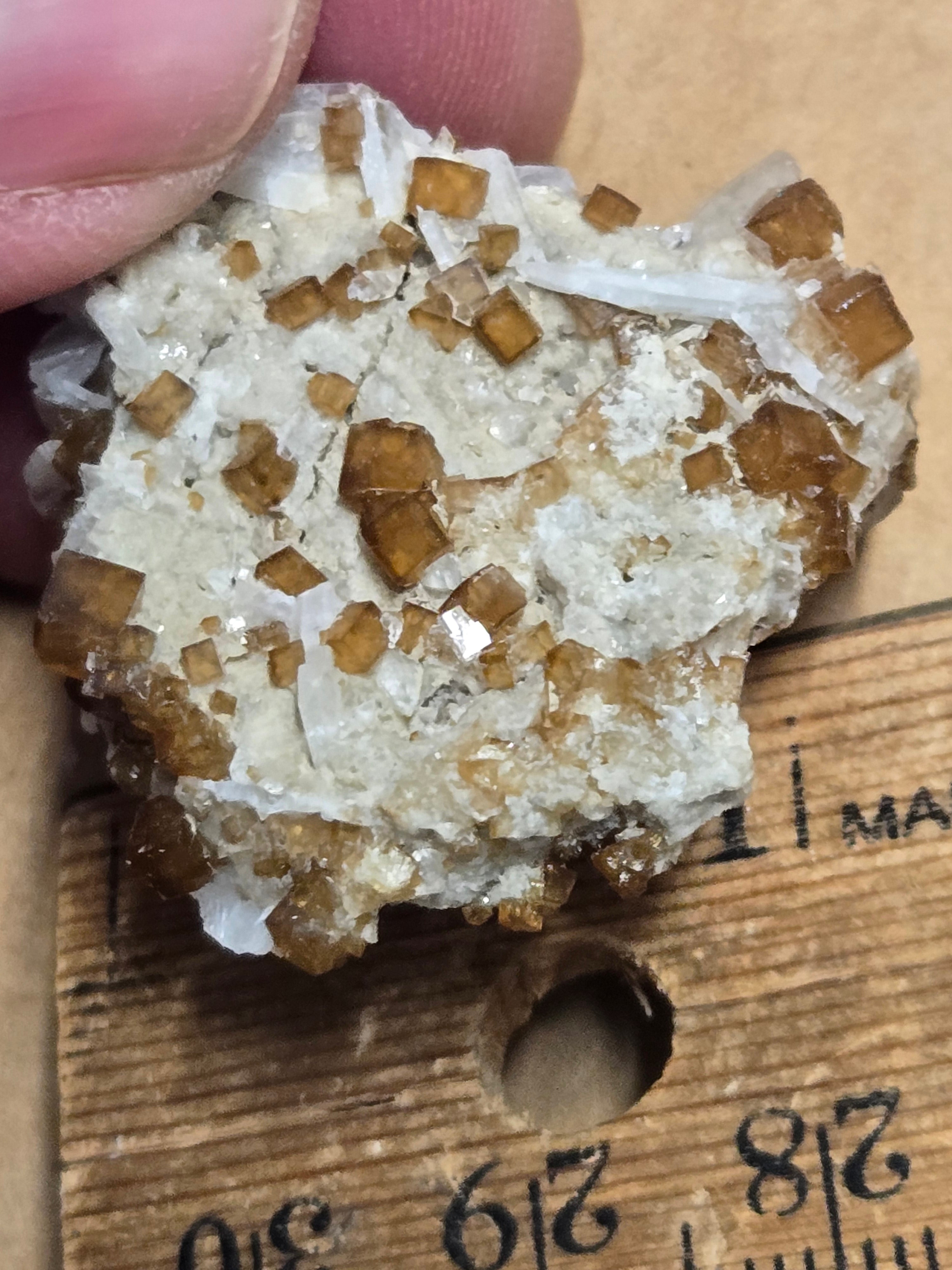 Fluorite with celestite