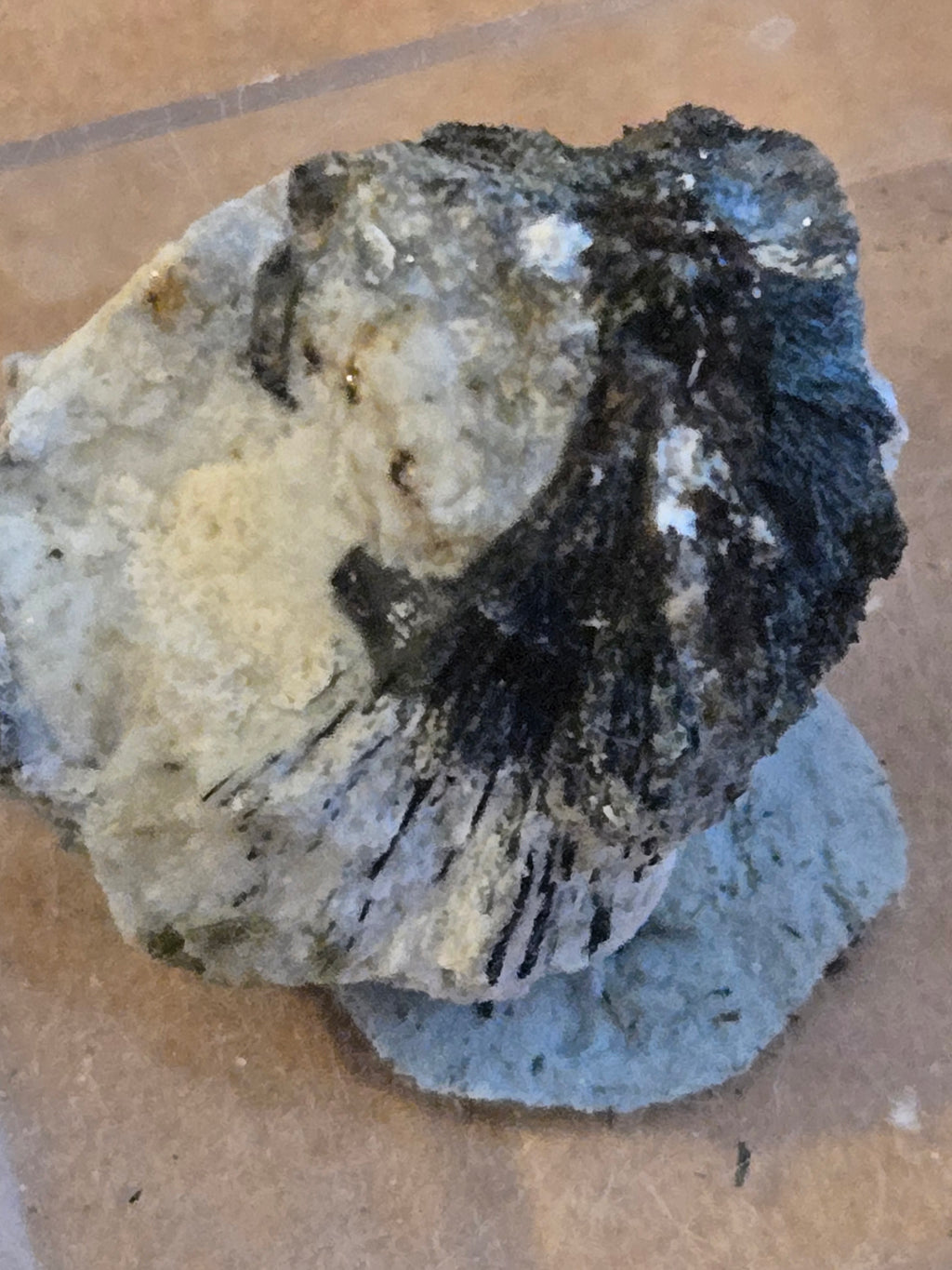 Korobitsynite