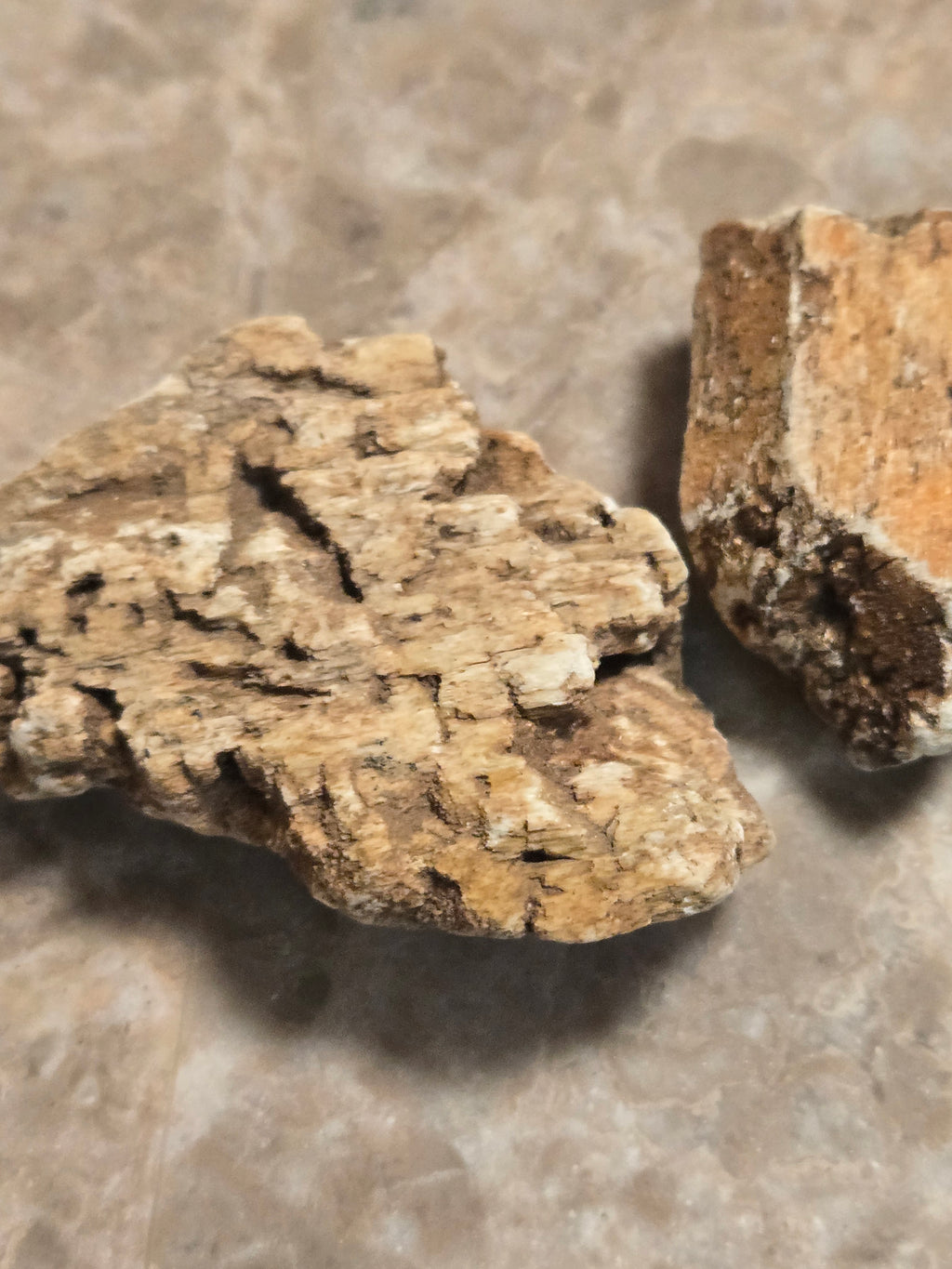Tremolite after diopside
