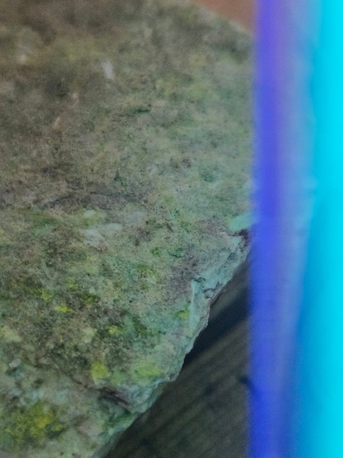 Carnotite autunite specimen