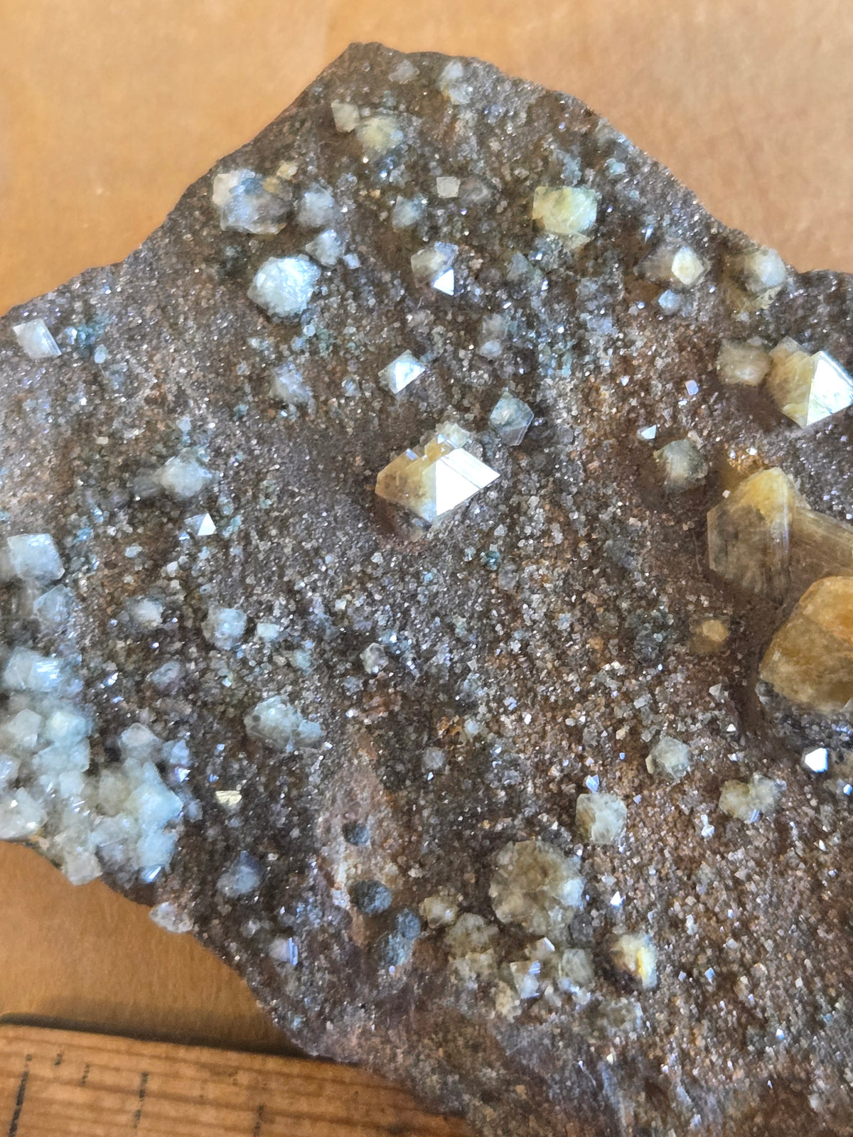 Wardite