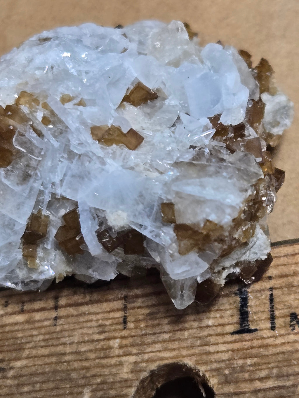Fluorite with celestite