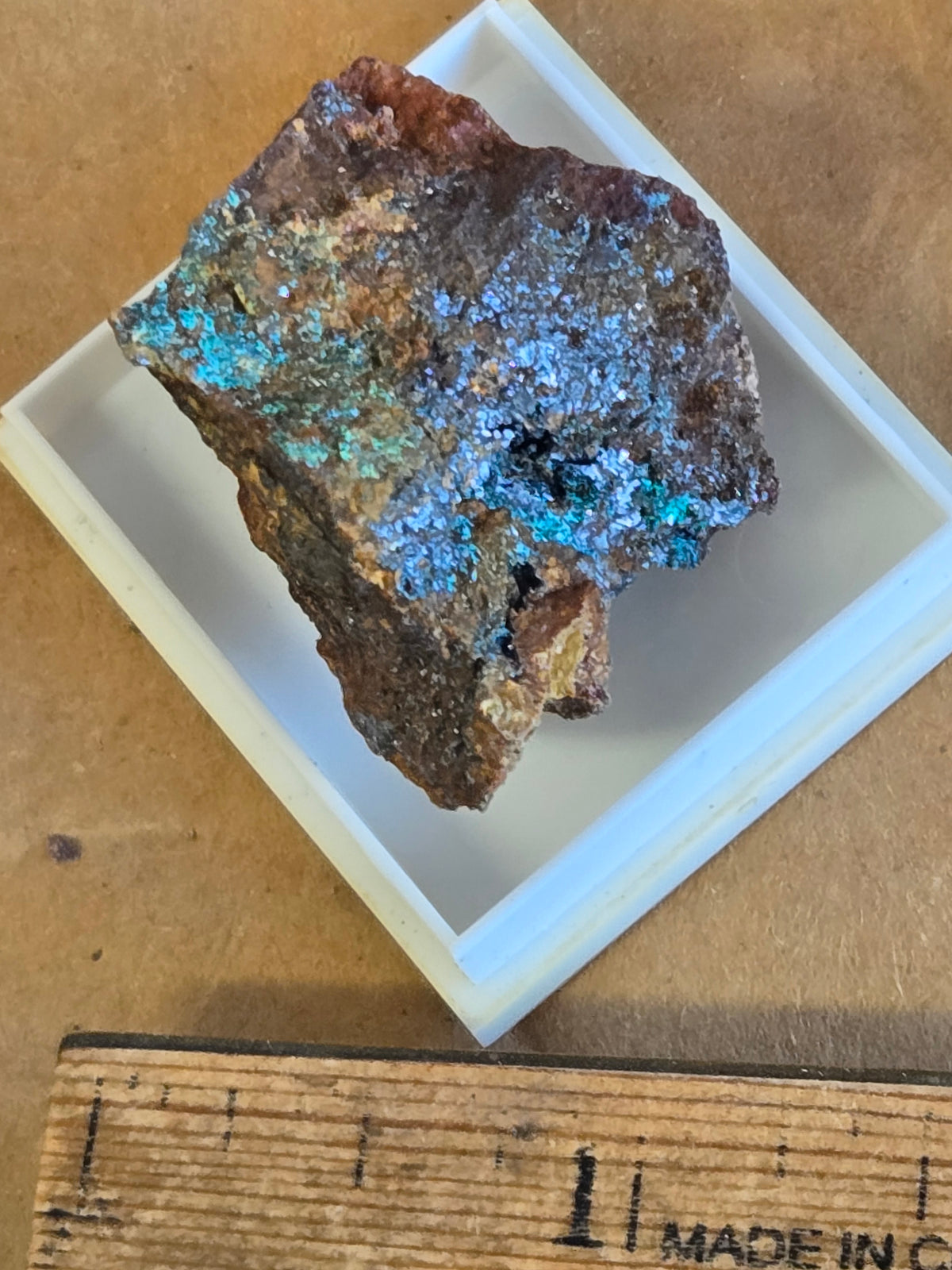 Posnjakite