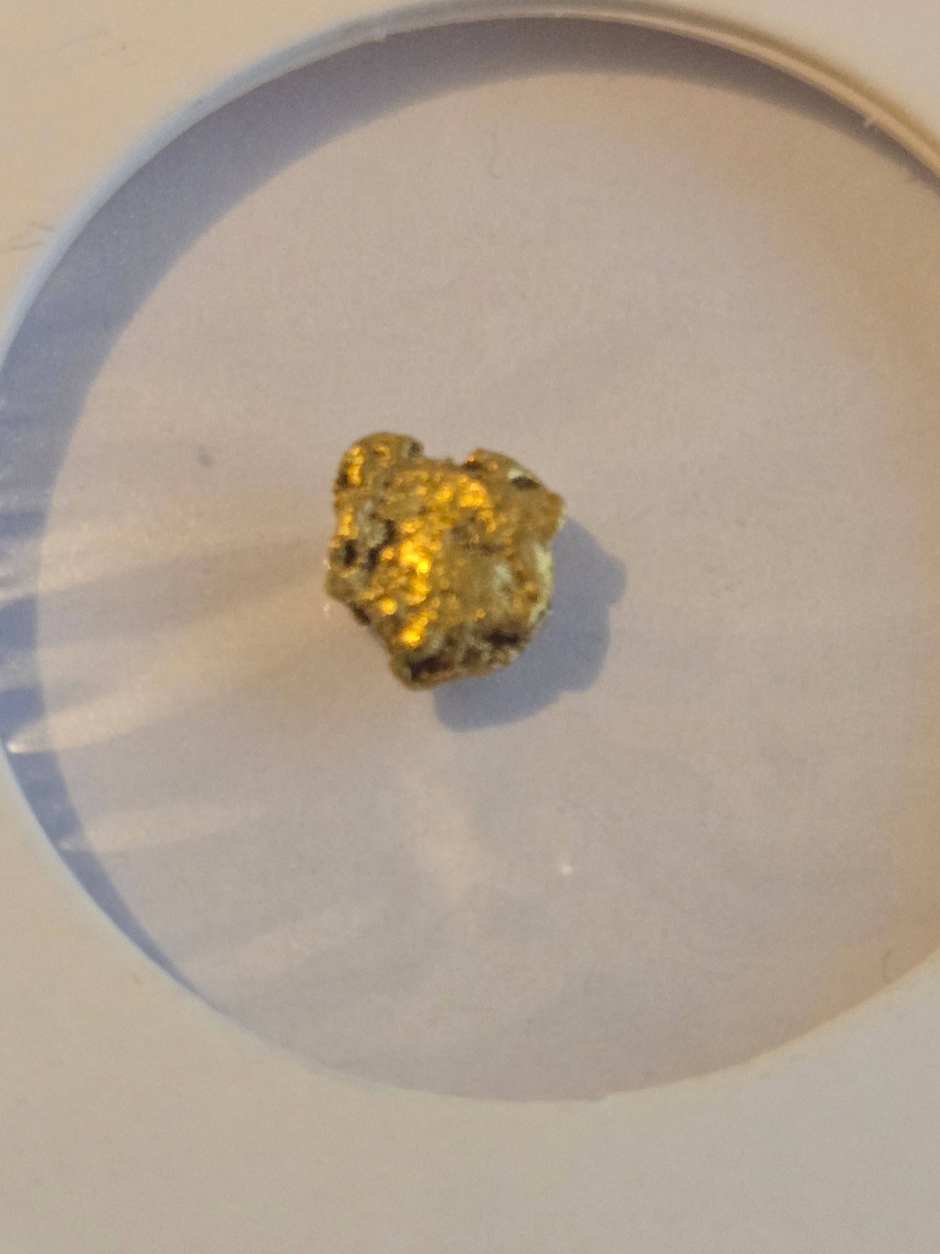 Gold nugget Alaska
