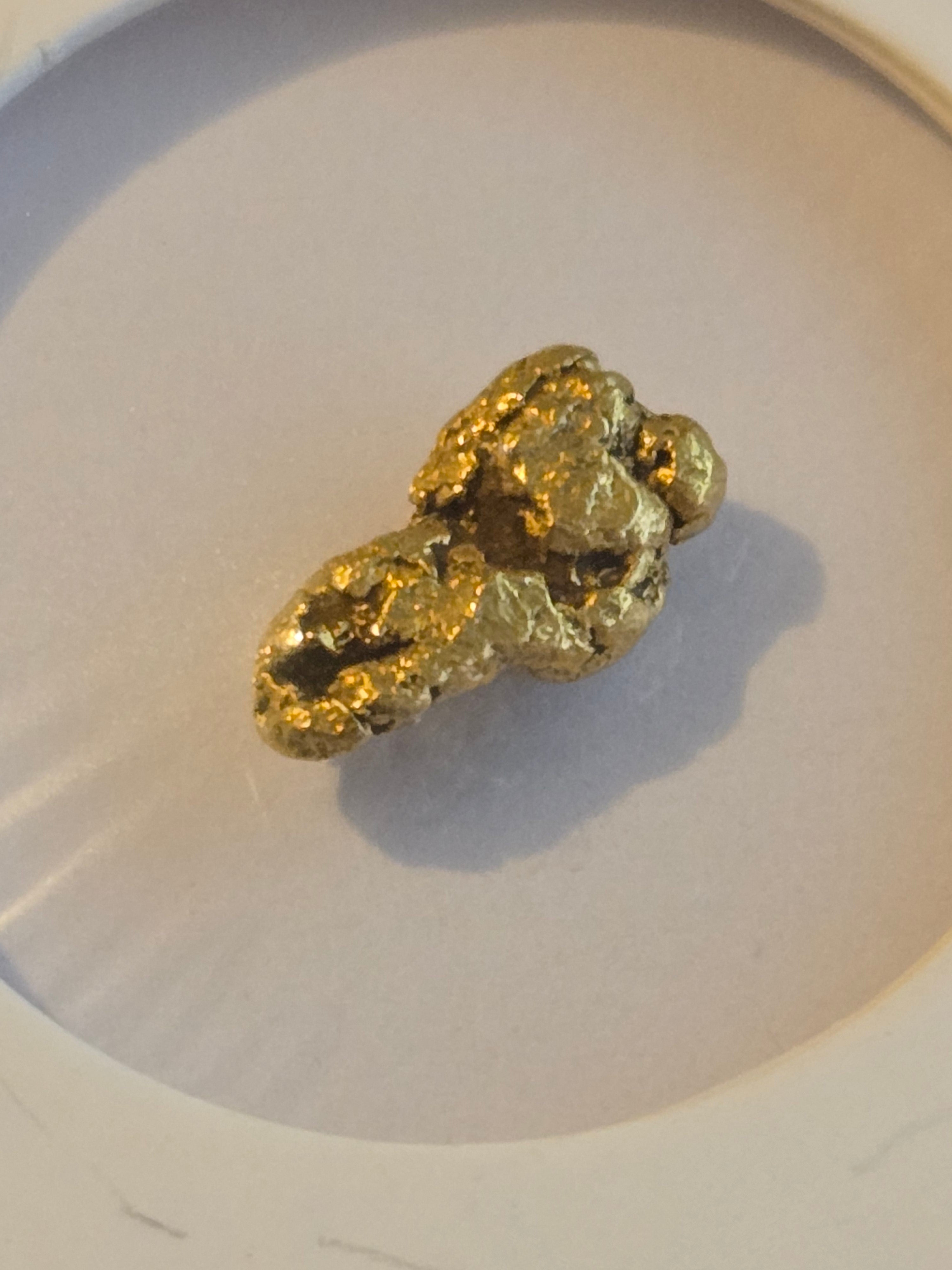 Gold nugget Alaska